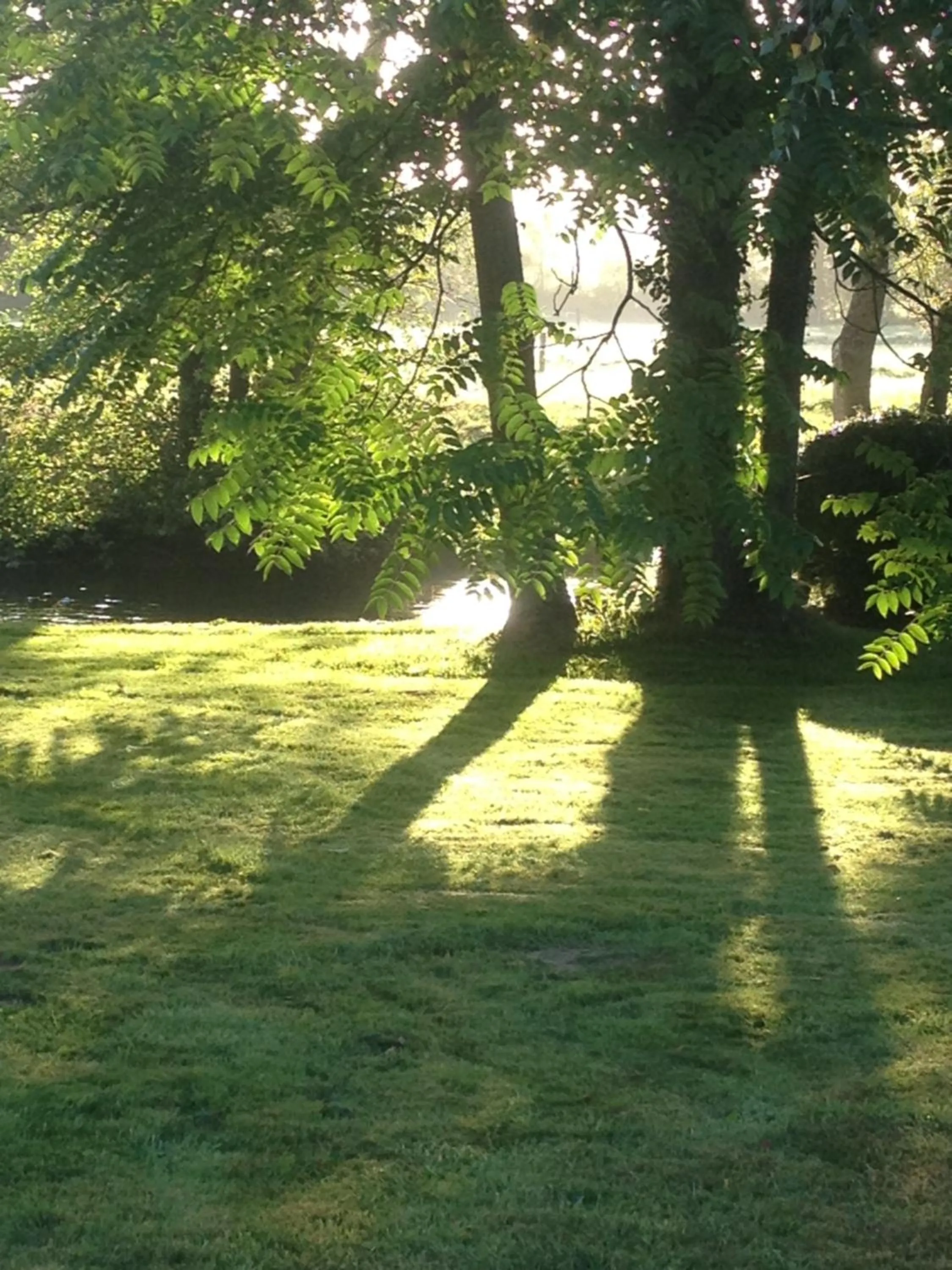 Garden in Moulin de Champrond -Montmirail -Sarthe