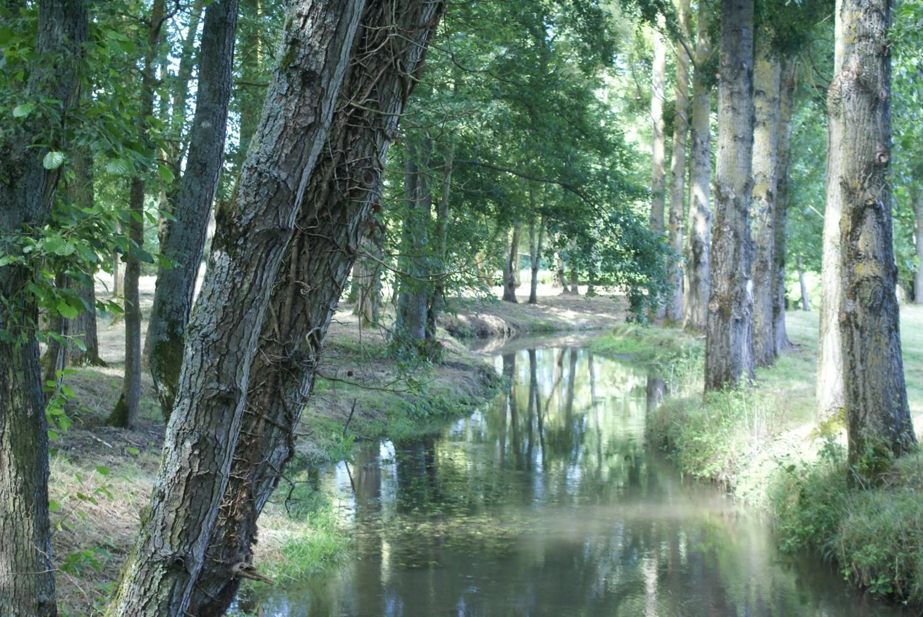 Moulin de Champrond -Montmirail -Sarthe