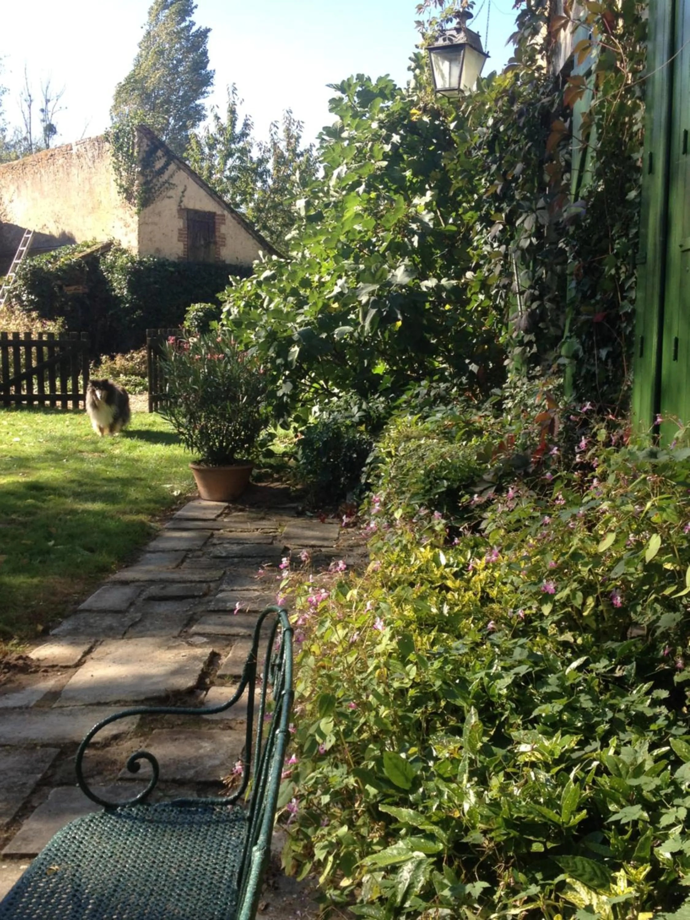 Property building in Moulin de Champrond -Montmirail -Sarthe