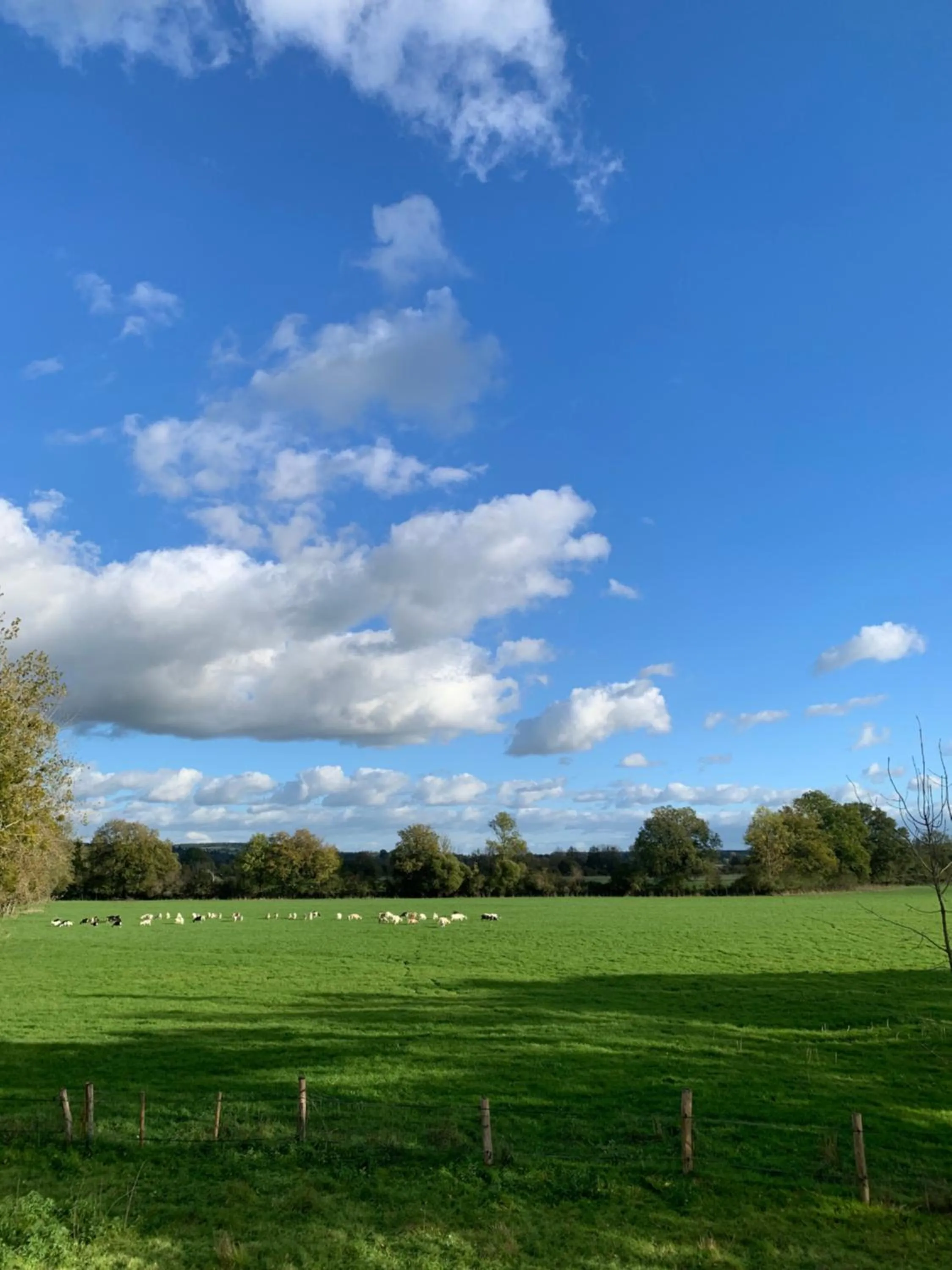 Moulin de Champrond -Montmirail -Sarthe