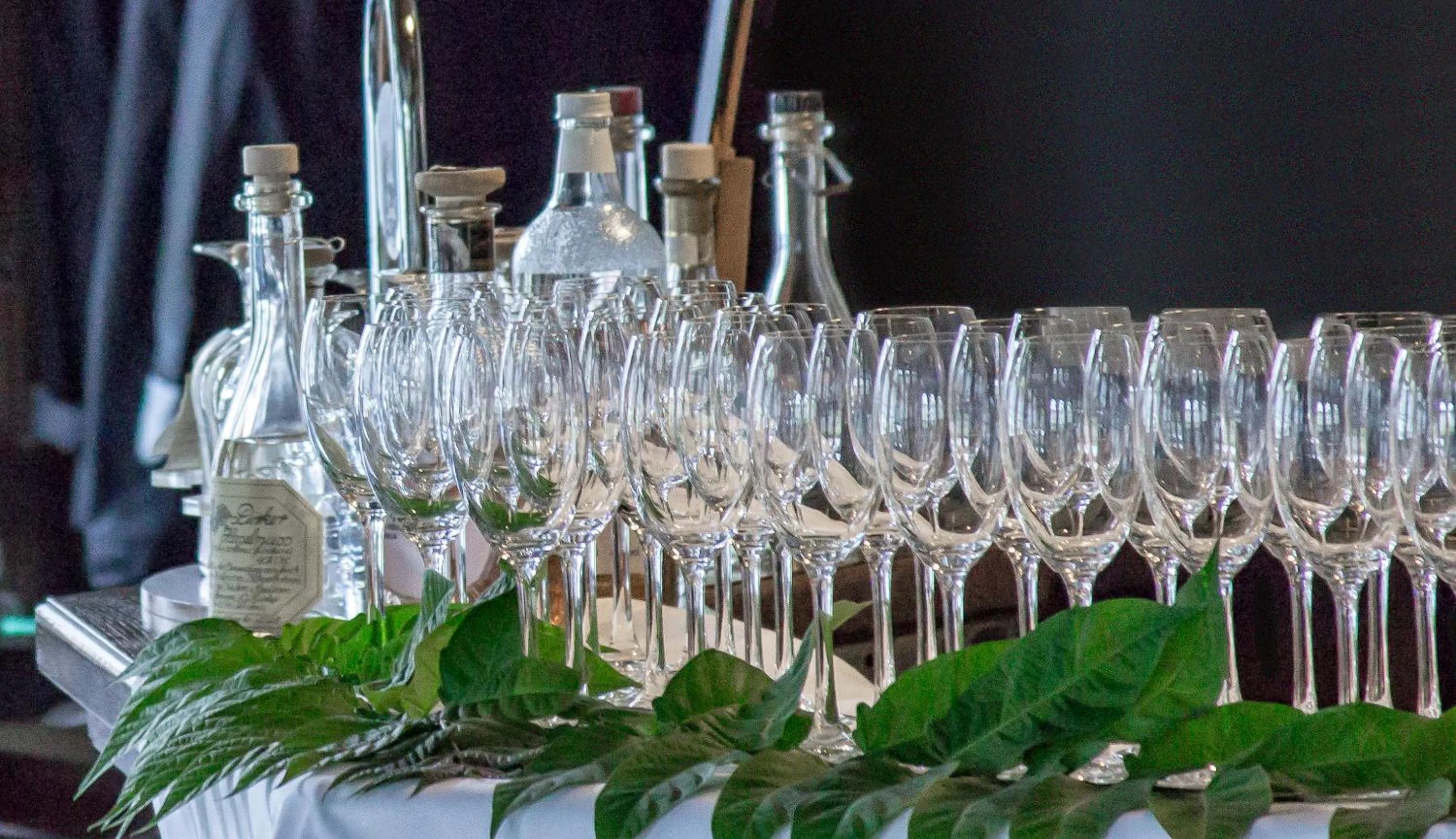 Food and drinks in Hotel Brößler