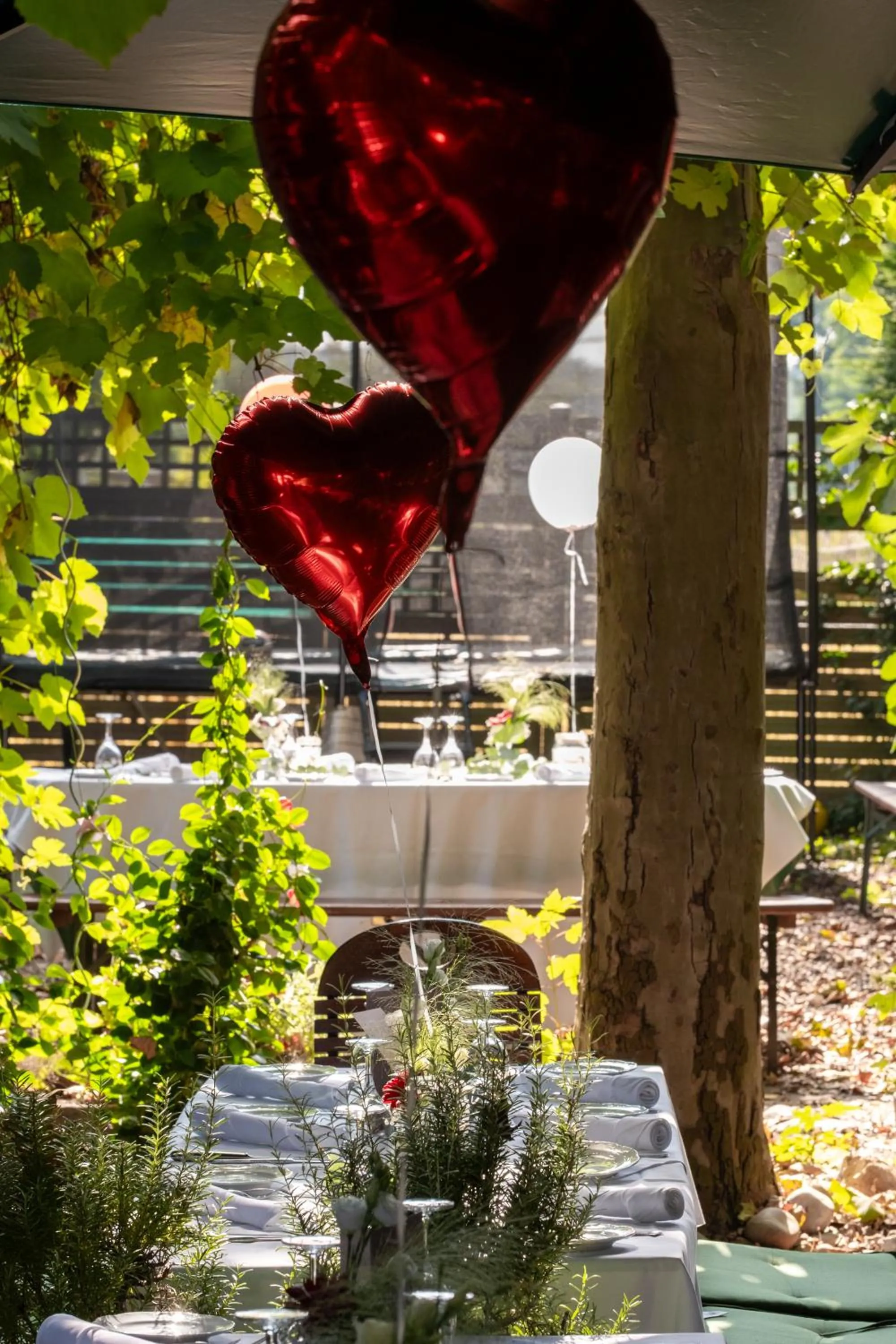 Restaurant/places to eat in Hotel Brößler