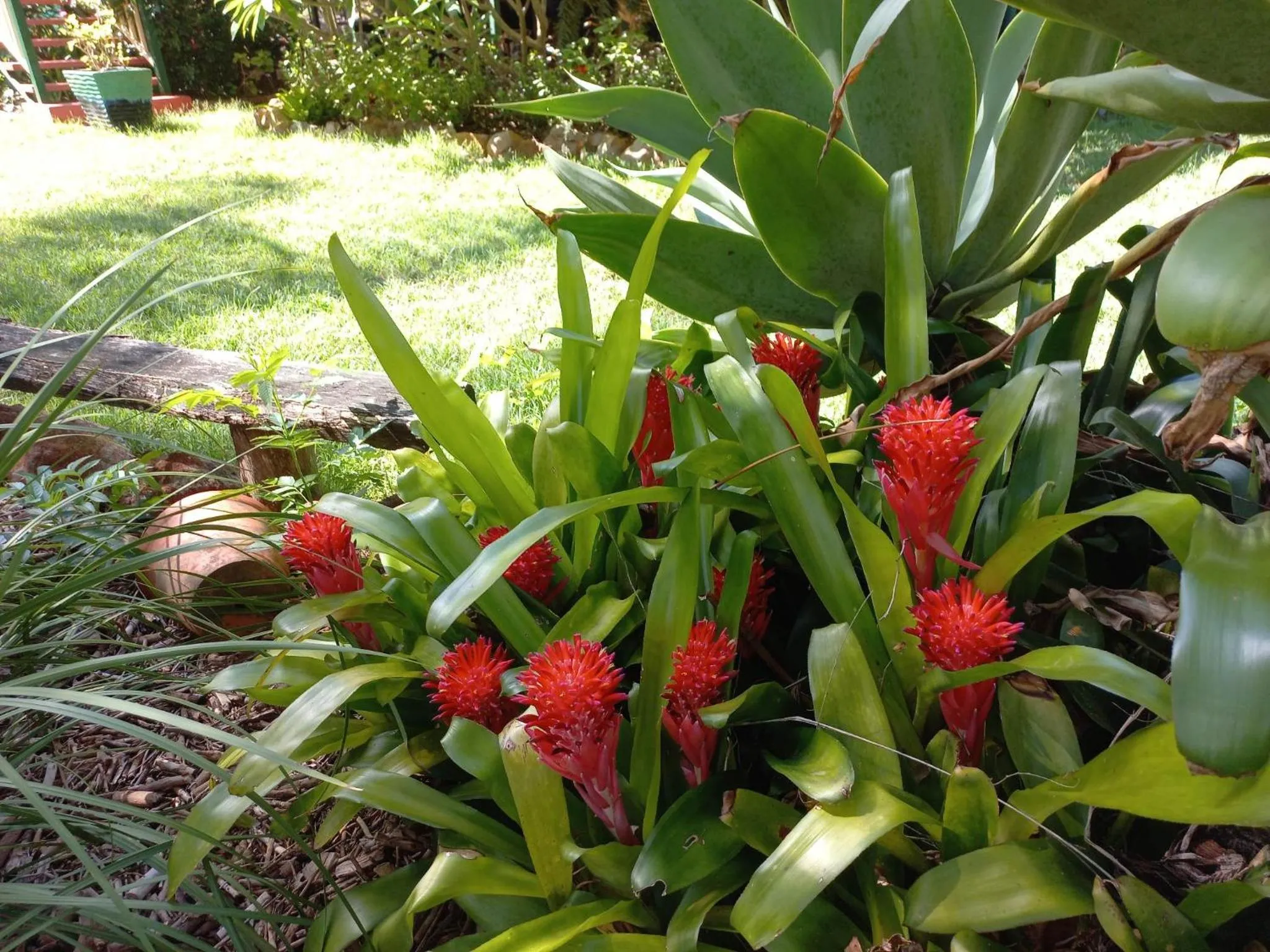 Wondai Hideaway Apartment