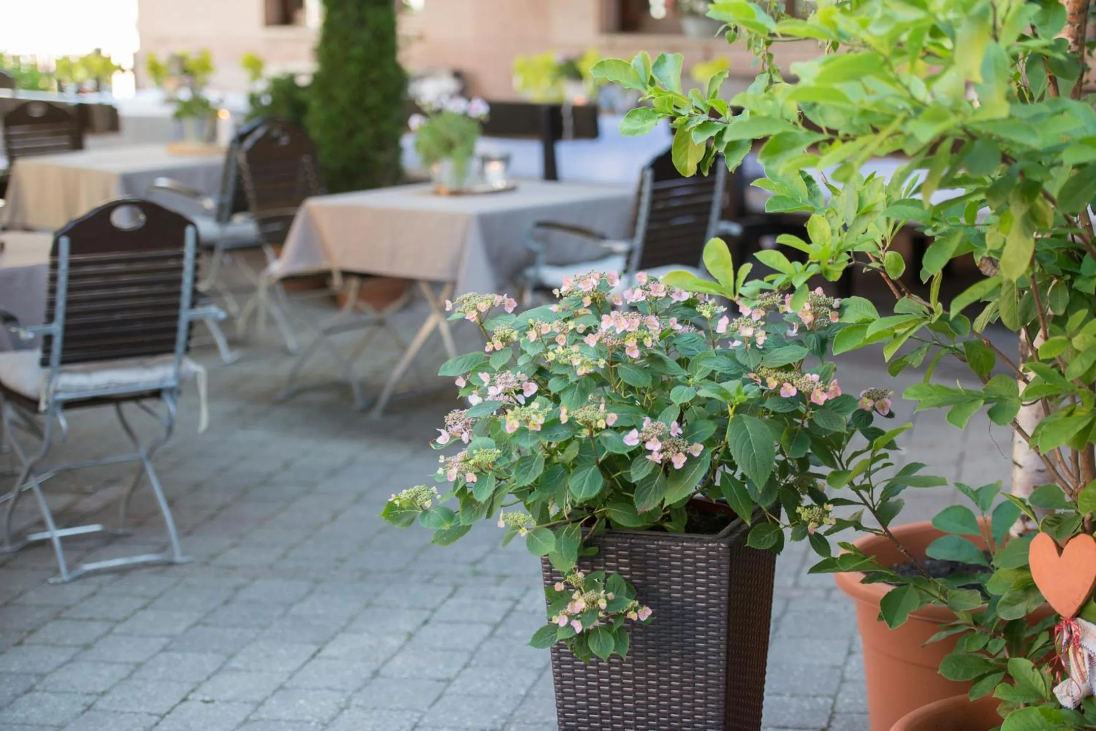 Patio in Landgasthof Weisses Lamm