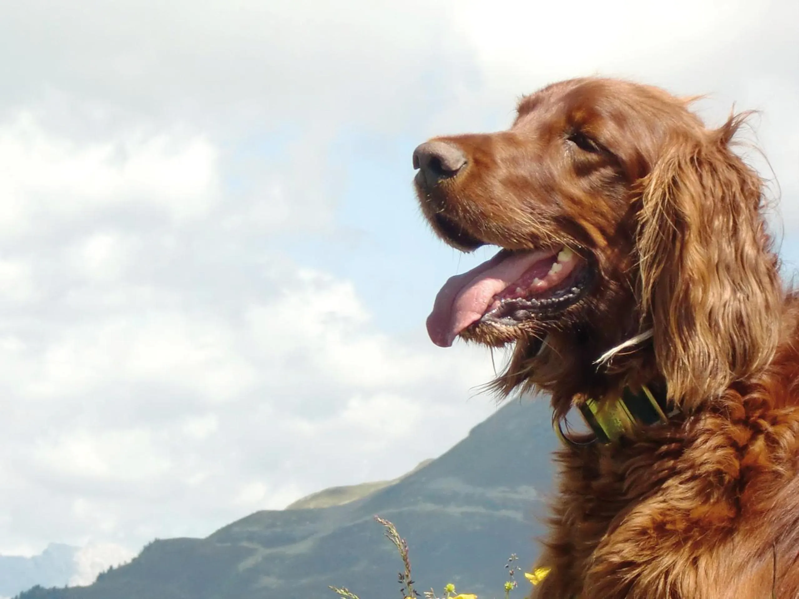 Day in Hotel Riederhof- Urlaub mit WAU!