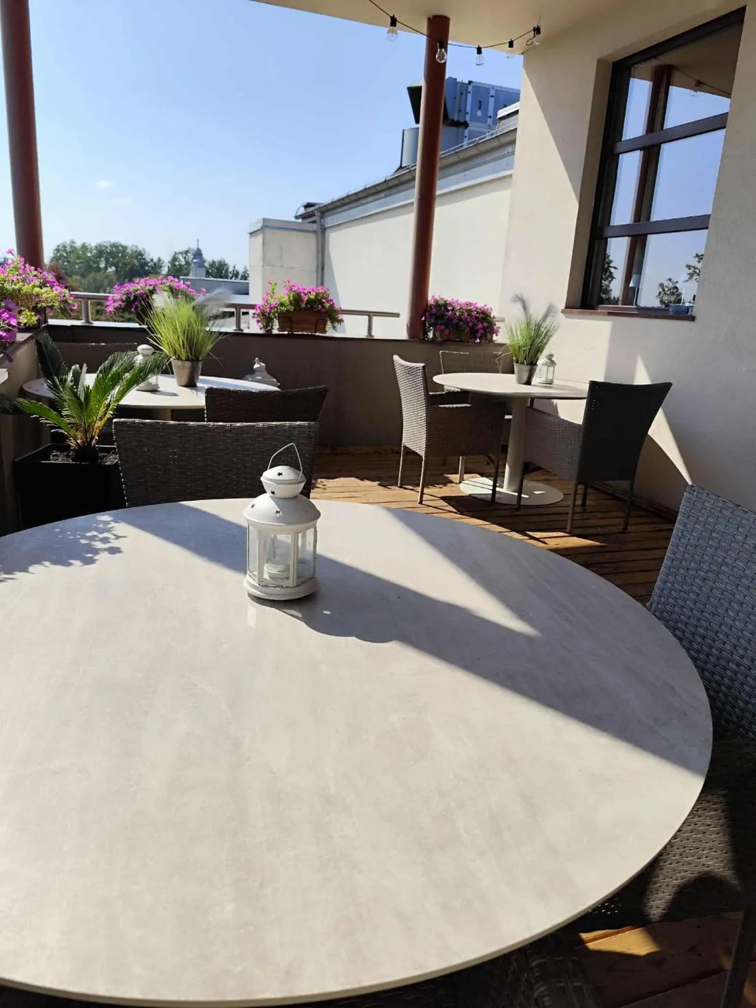 Aviator Hotel Restauracja & SPA