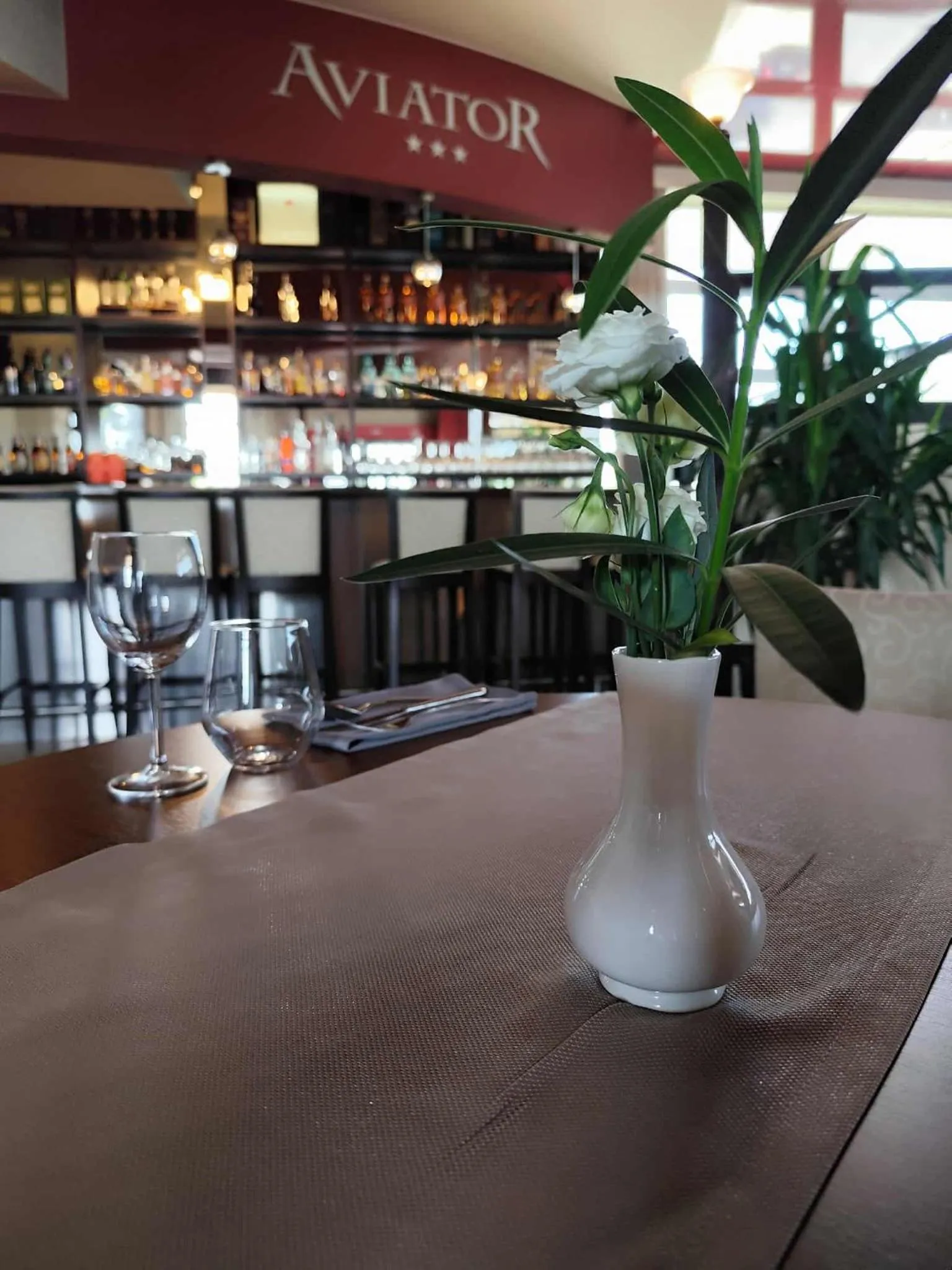 Aviator Hotel Restauracja & SPA