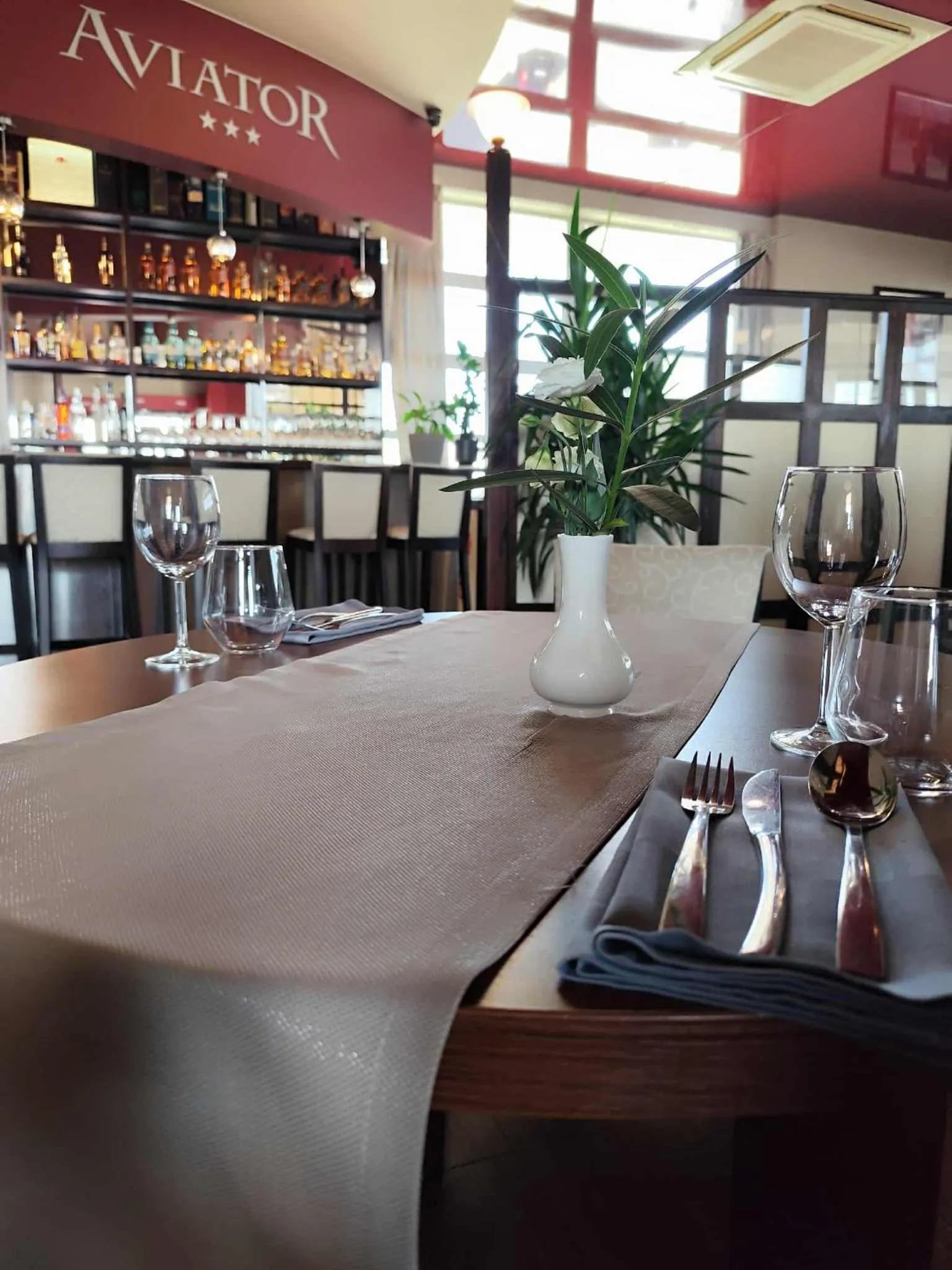 Aviator Hotel Restauracja & SPA