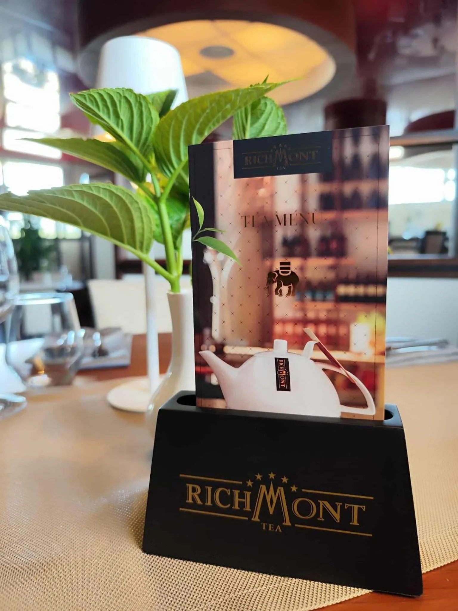 Aviator Hotel Restauracja & SPA