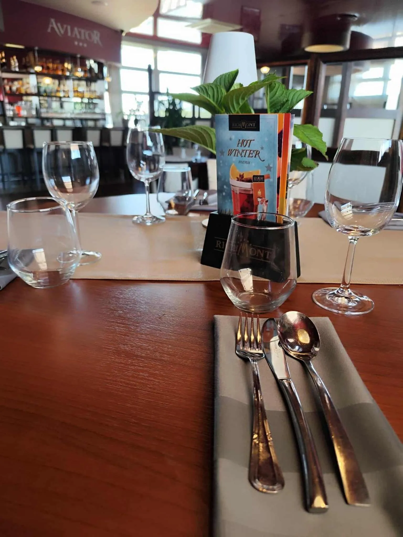 Aviator Hotel Restauracja & SPA