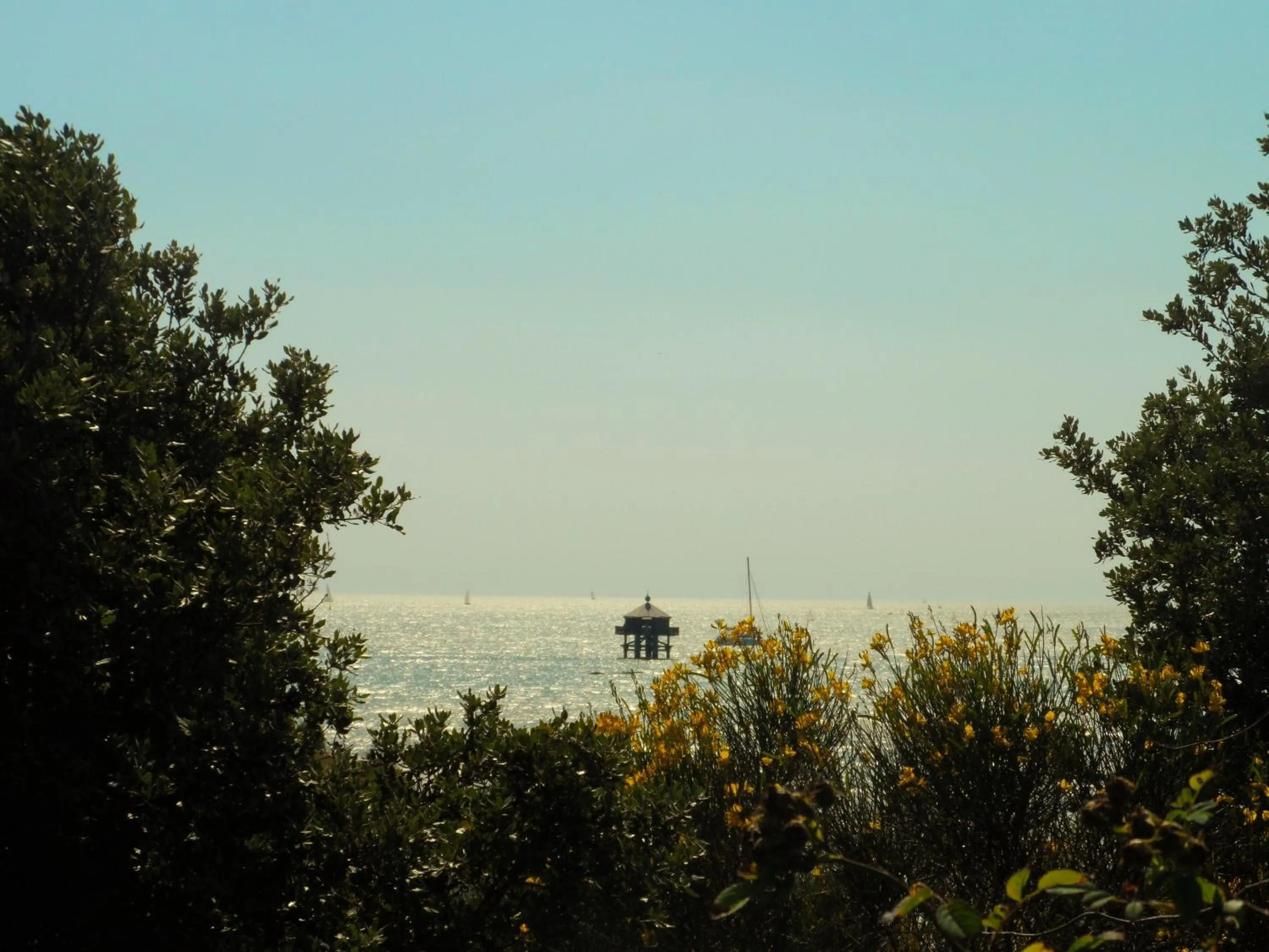 Natural landscape in Résidence New Rochelle