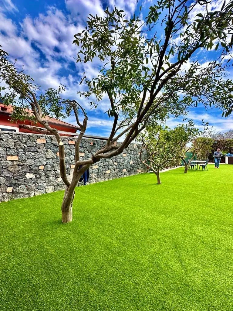 Etna Shelter Holiday House