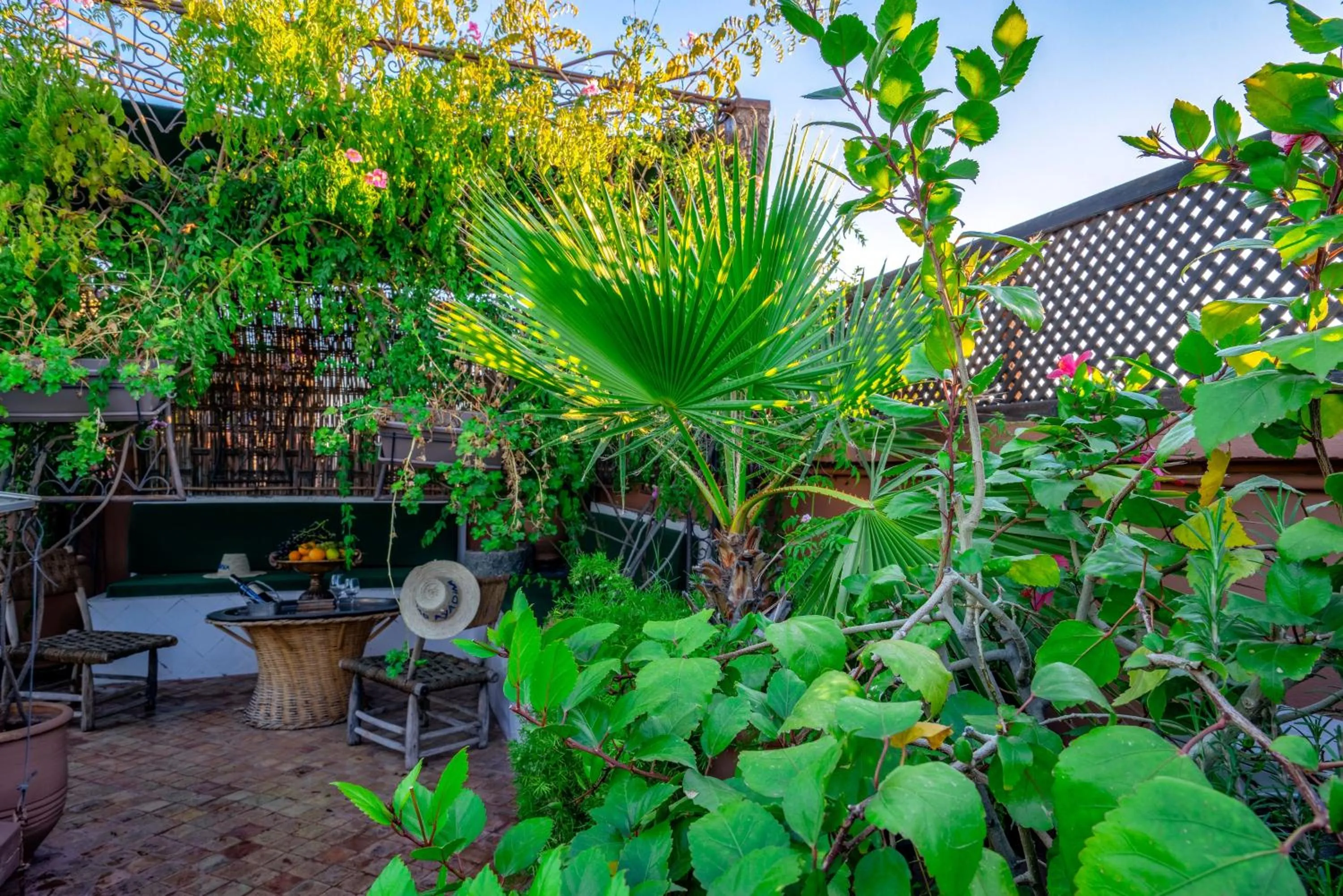 Summer in Riad Ayadina & SPA