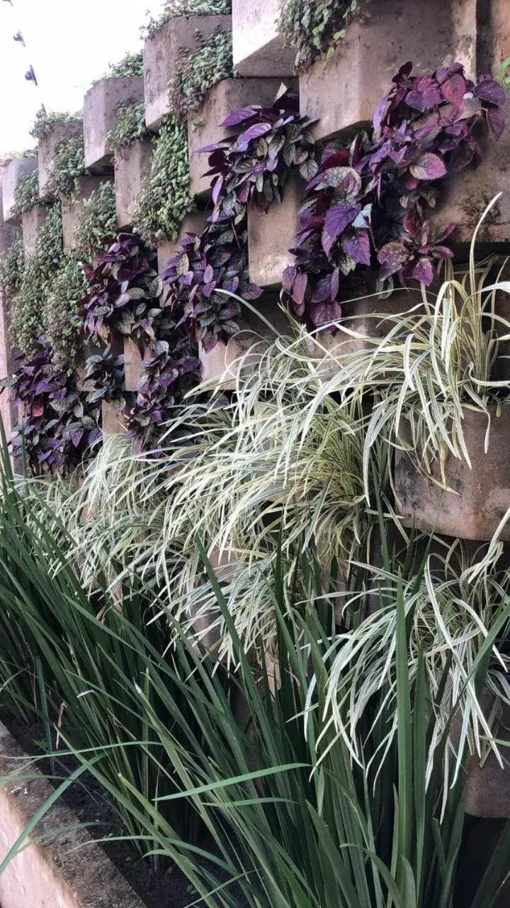 Swimming pool in Lua Pousada Swimming pool in Lua Pousada