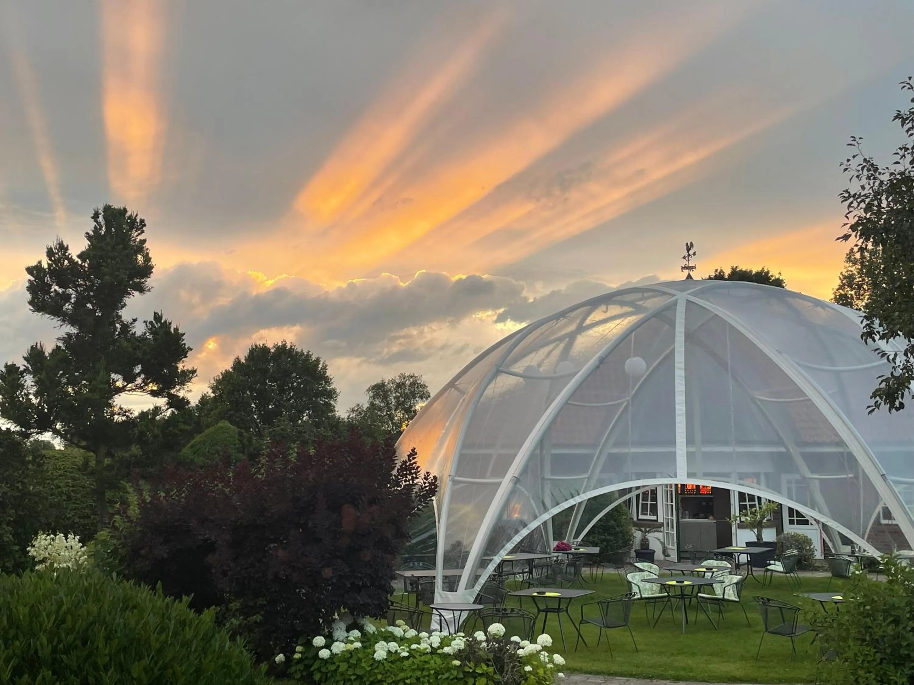 Balcony/Terrace in Hotel Am Steendamm