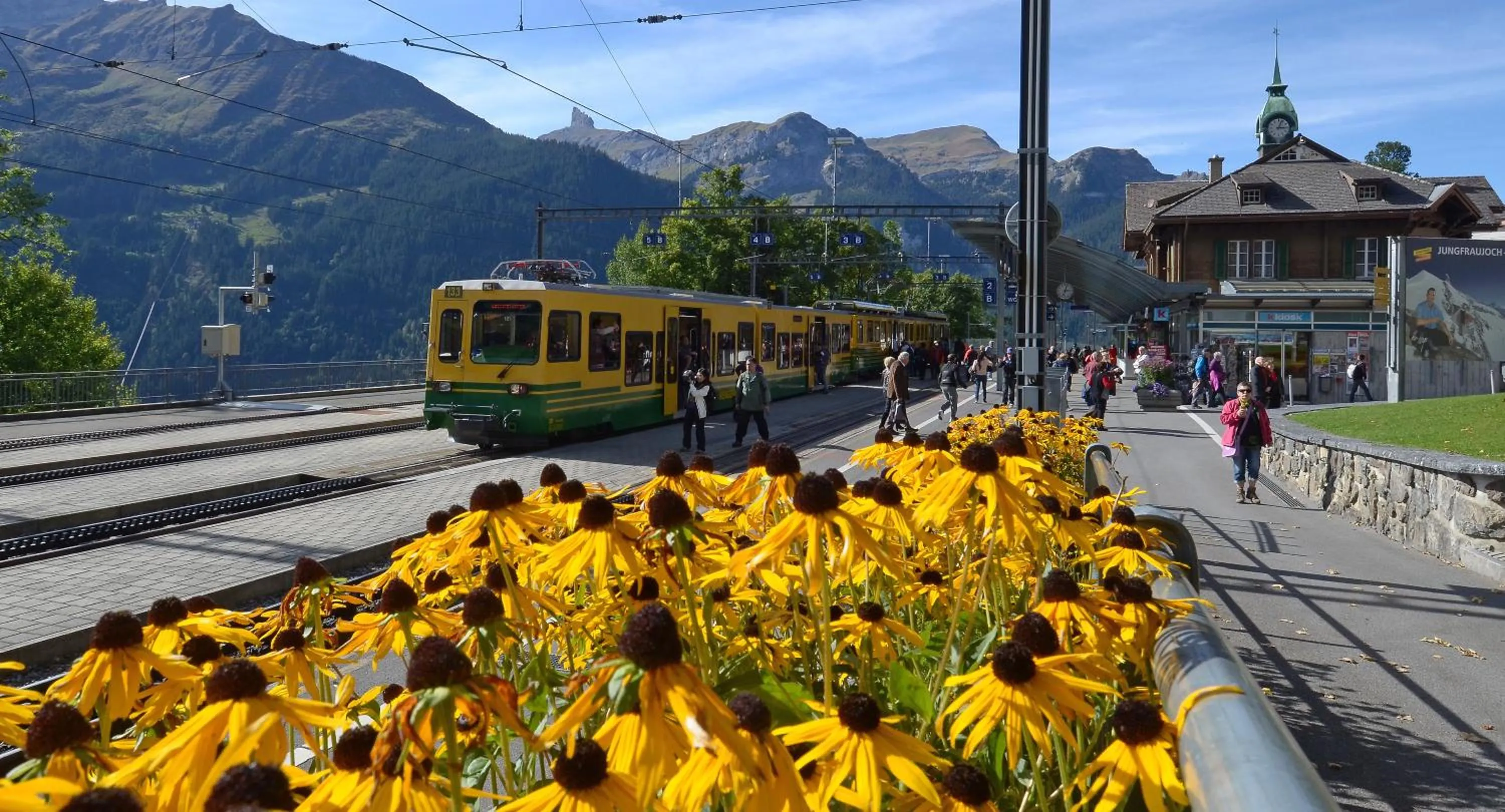 Area and facilities in Hotel Maya Caprice