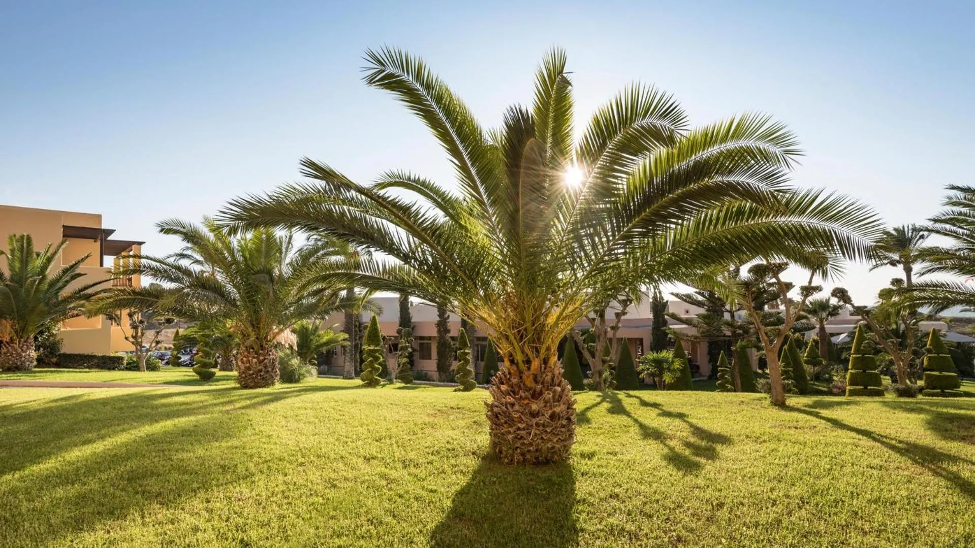 Garden in Horizon Beach Resort