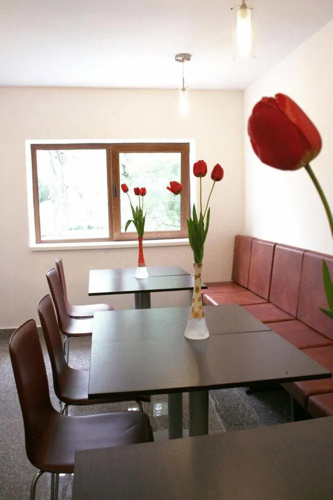 Hotel Timisoara Sannicolau Mare