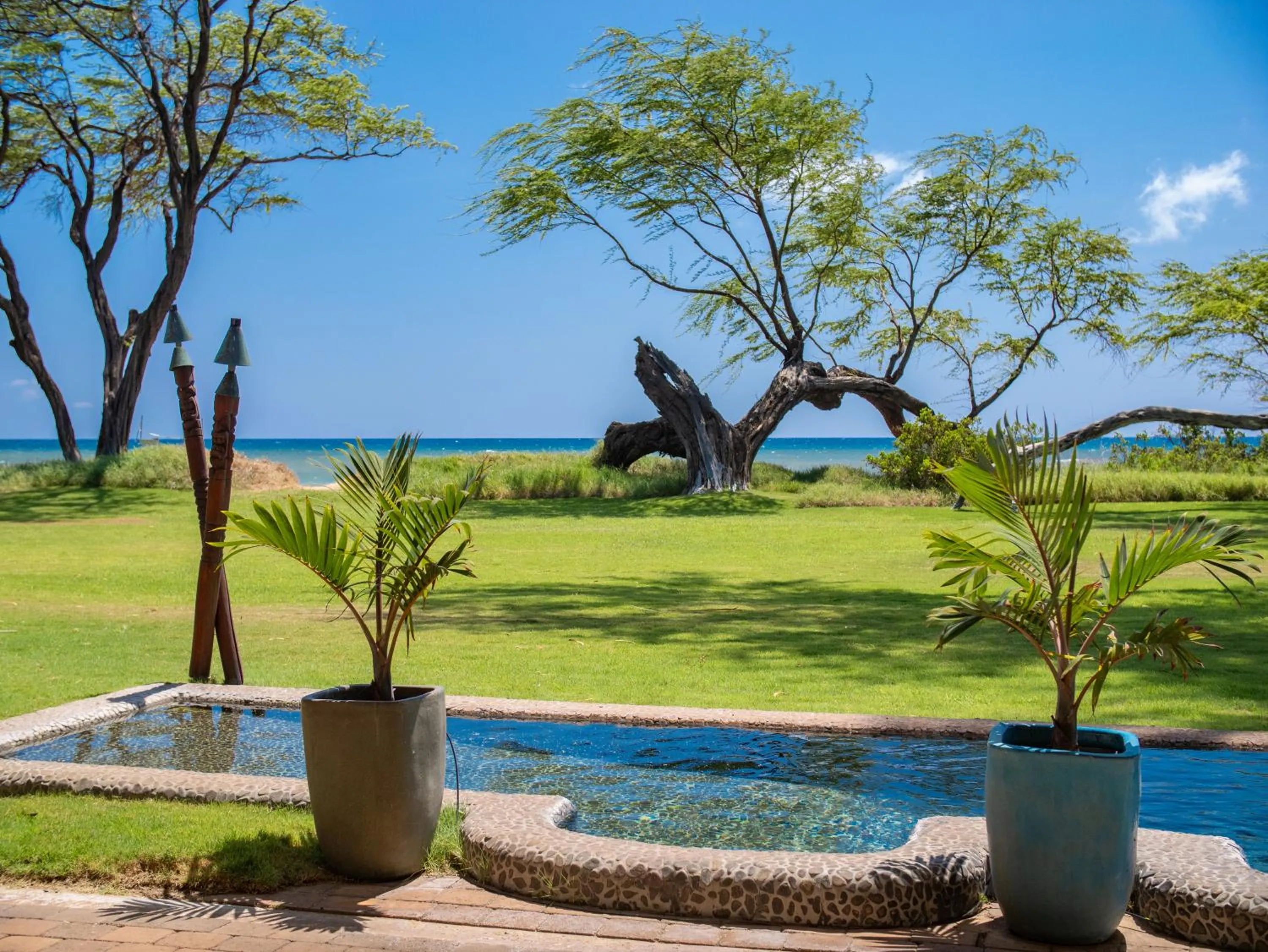 Natural landscape in Aloha Aku CoCoPalm2 Suite - Your Cozy Beachfront Escape