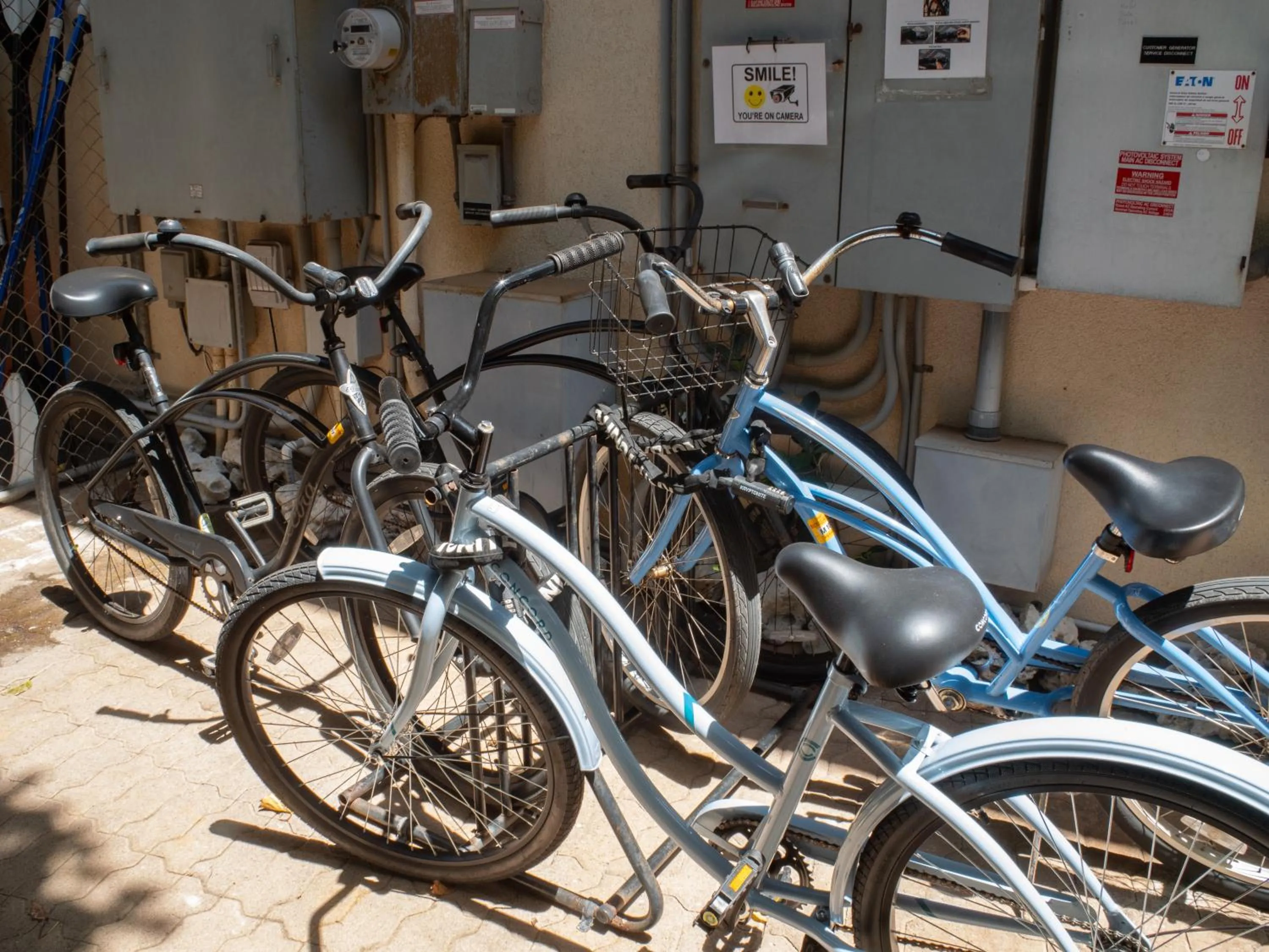 Cycling in Aloha Aku CoCoPalm2 Suite - Your Cozy Beachfront Escape