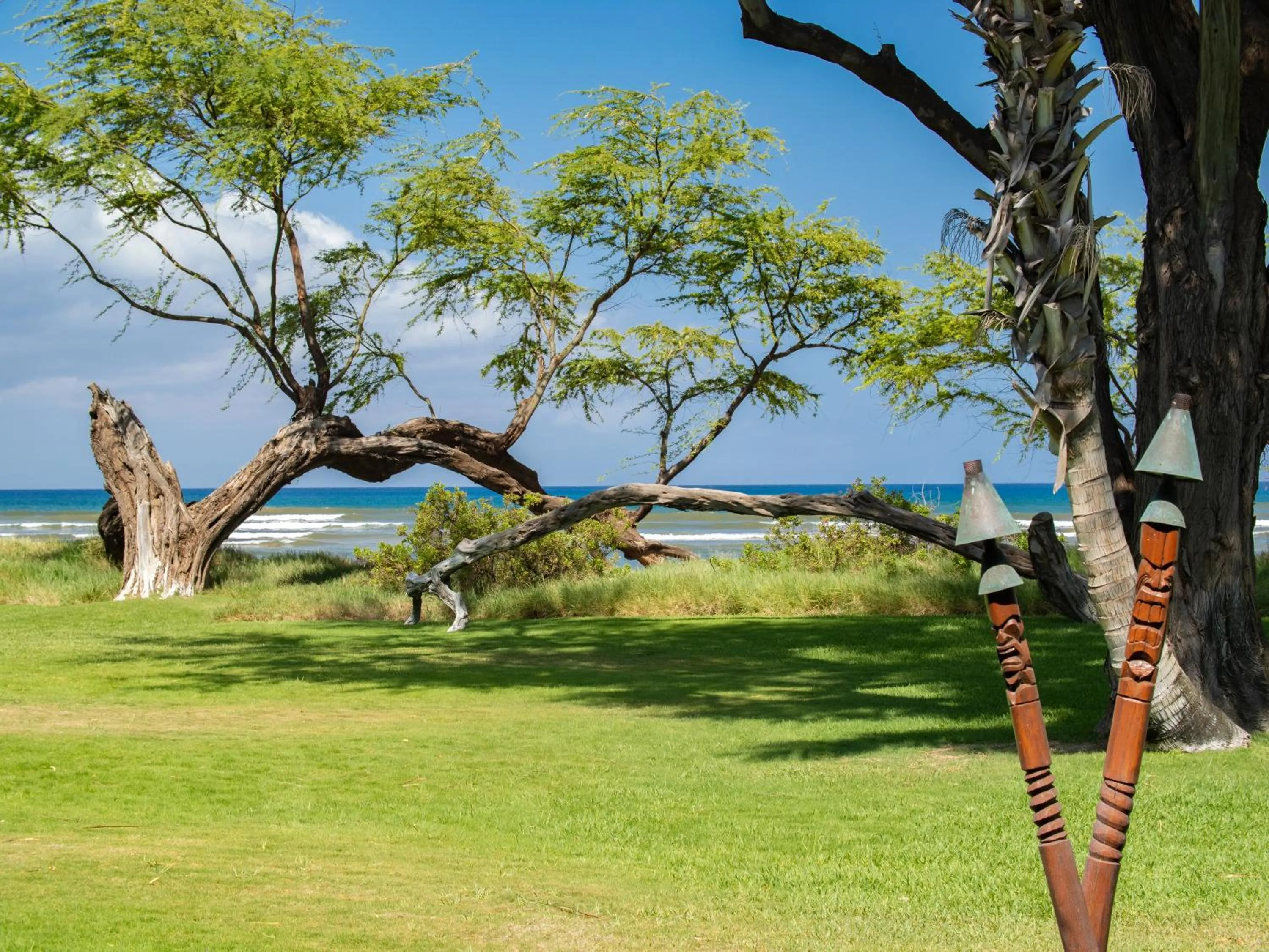 Natural landscape in Aloha Aku CoCoPalm2 Suite - Your Cozy Beachfront Escape