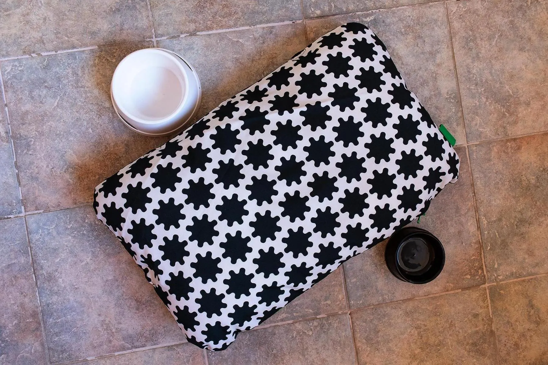 Pets in Residence Greco