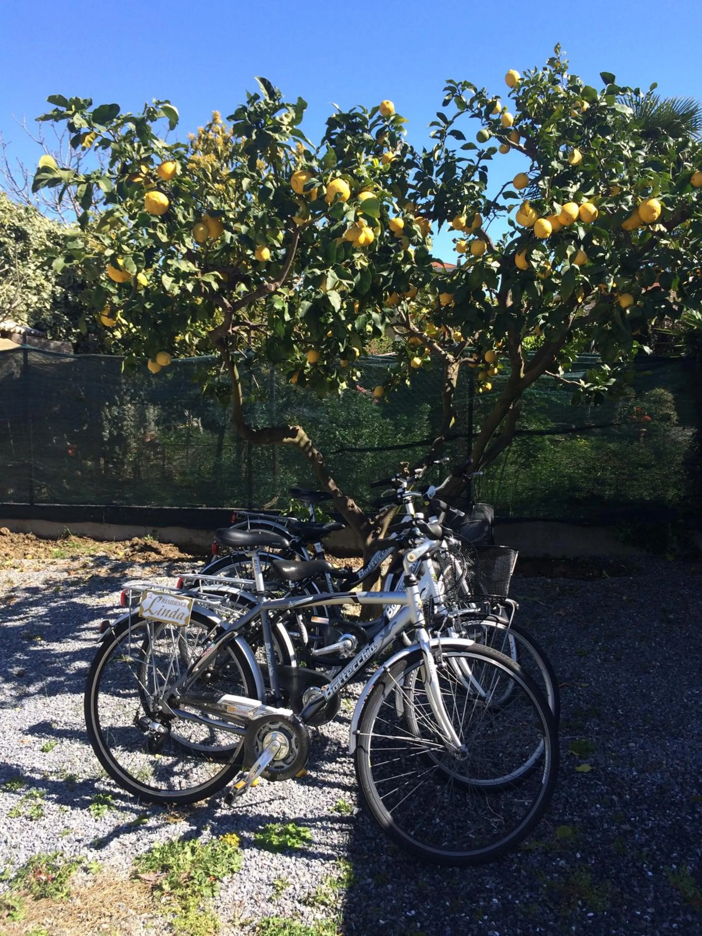 Cycling in Residence Greco