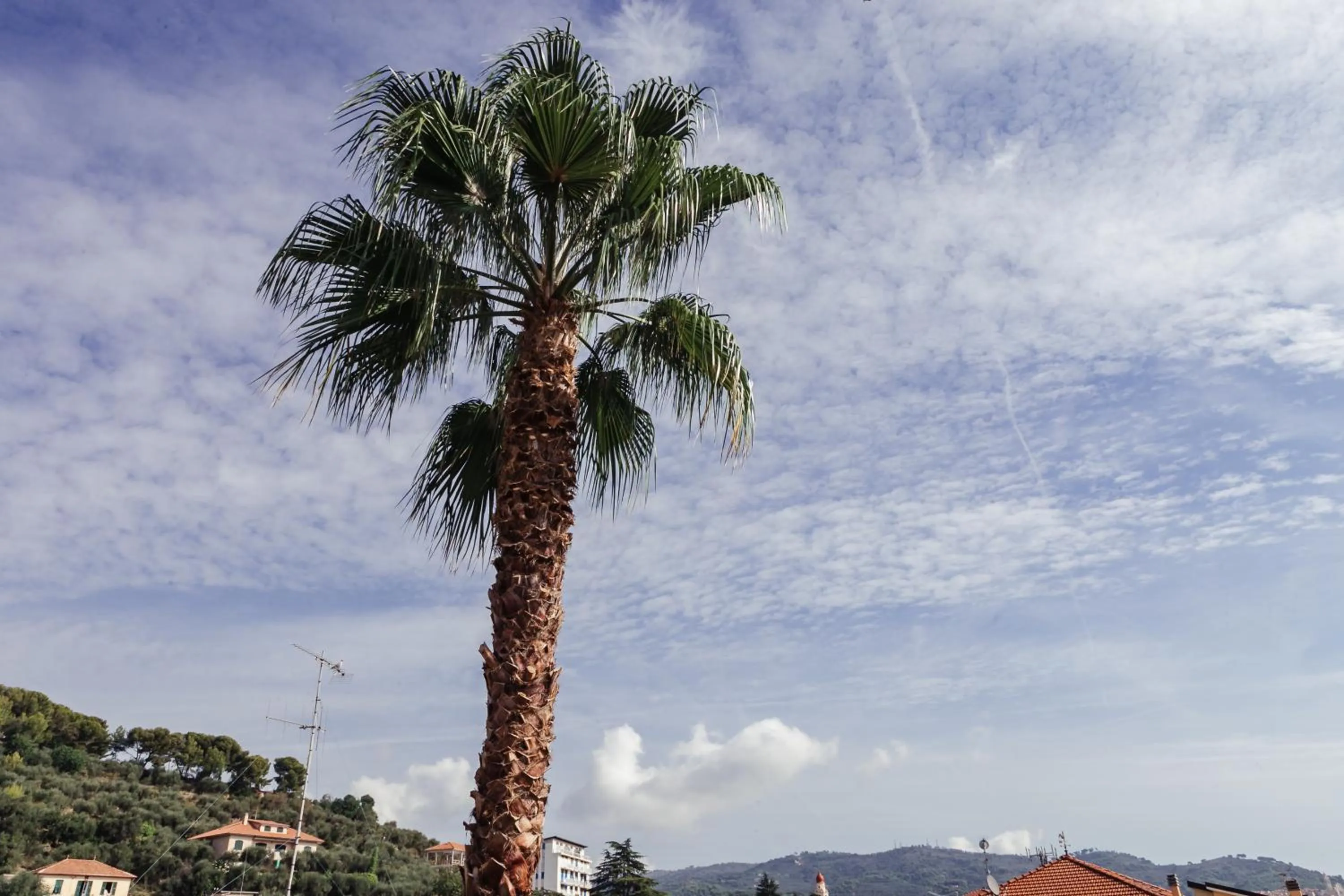 City view in Residence Greco