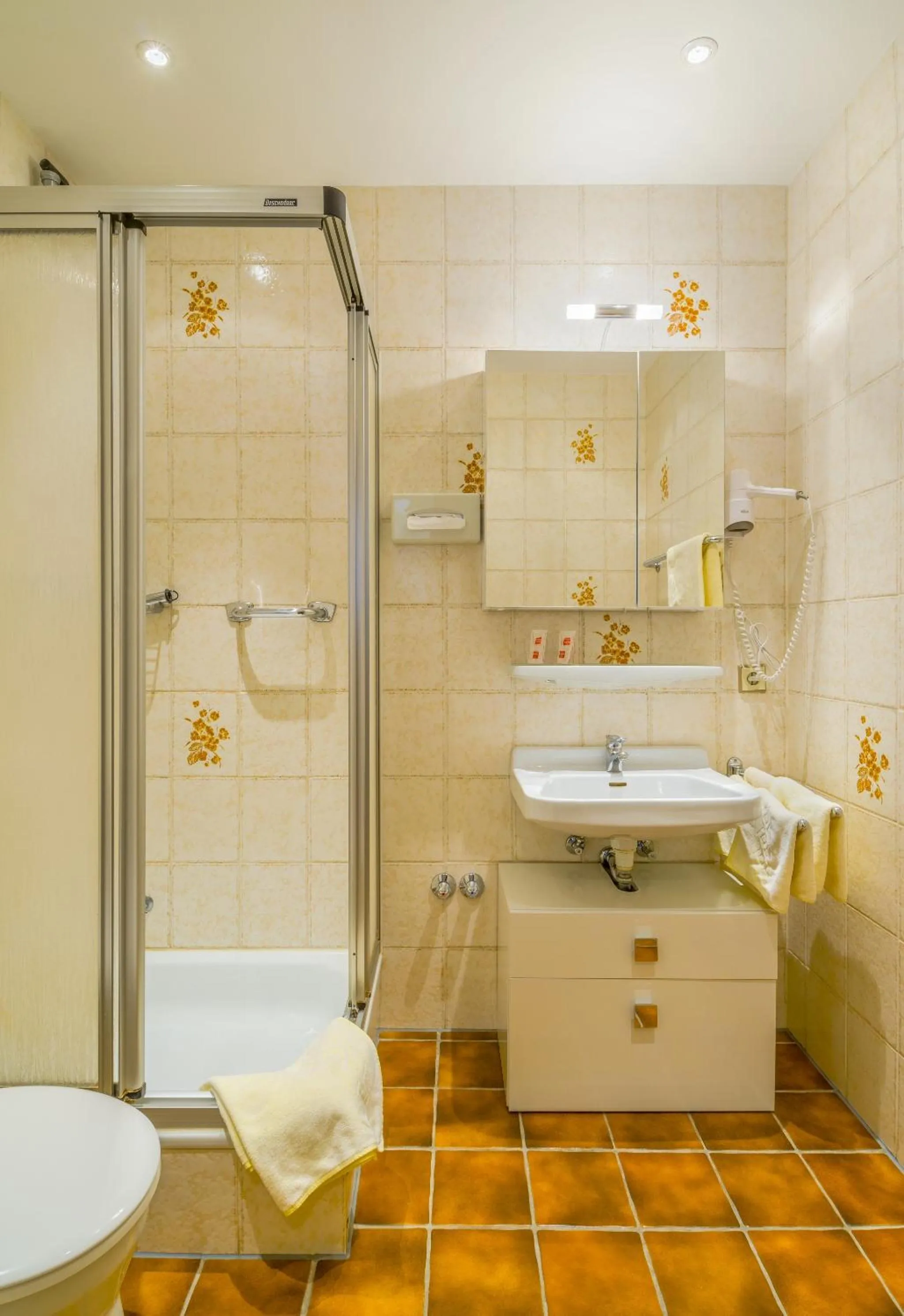 Shower in Hotel Schloessmann Garni