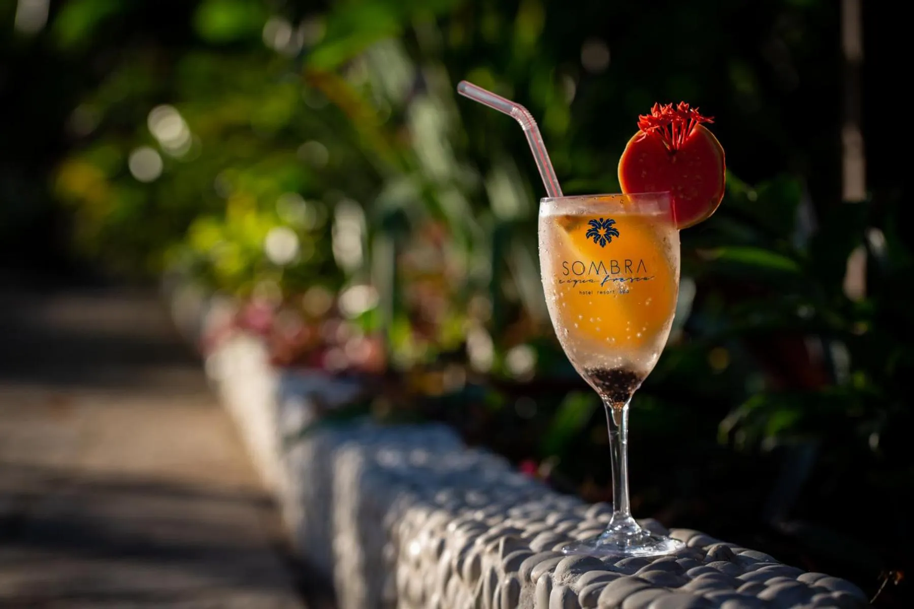 Drinks in Hotel Sombra e Água Fresca