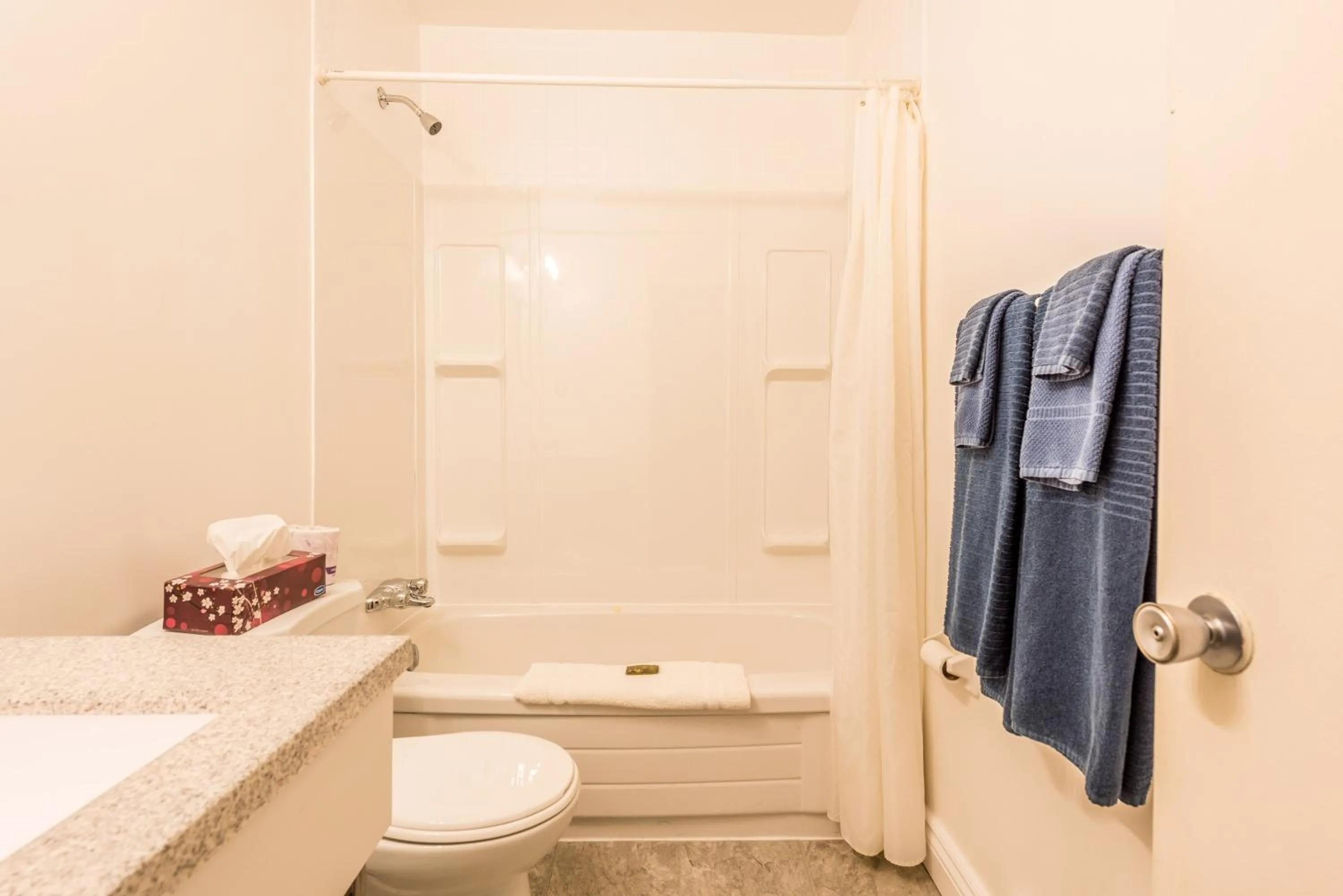 Bathroom in Lake City Motel