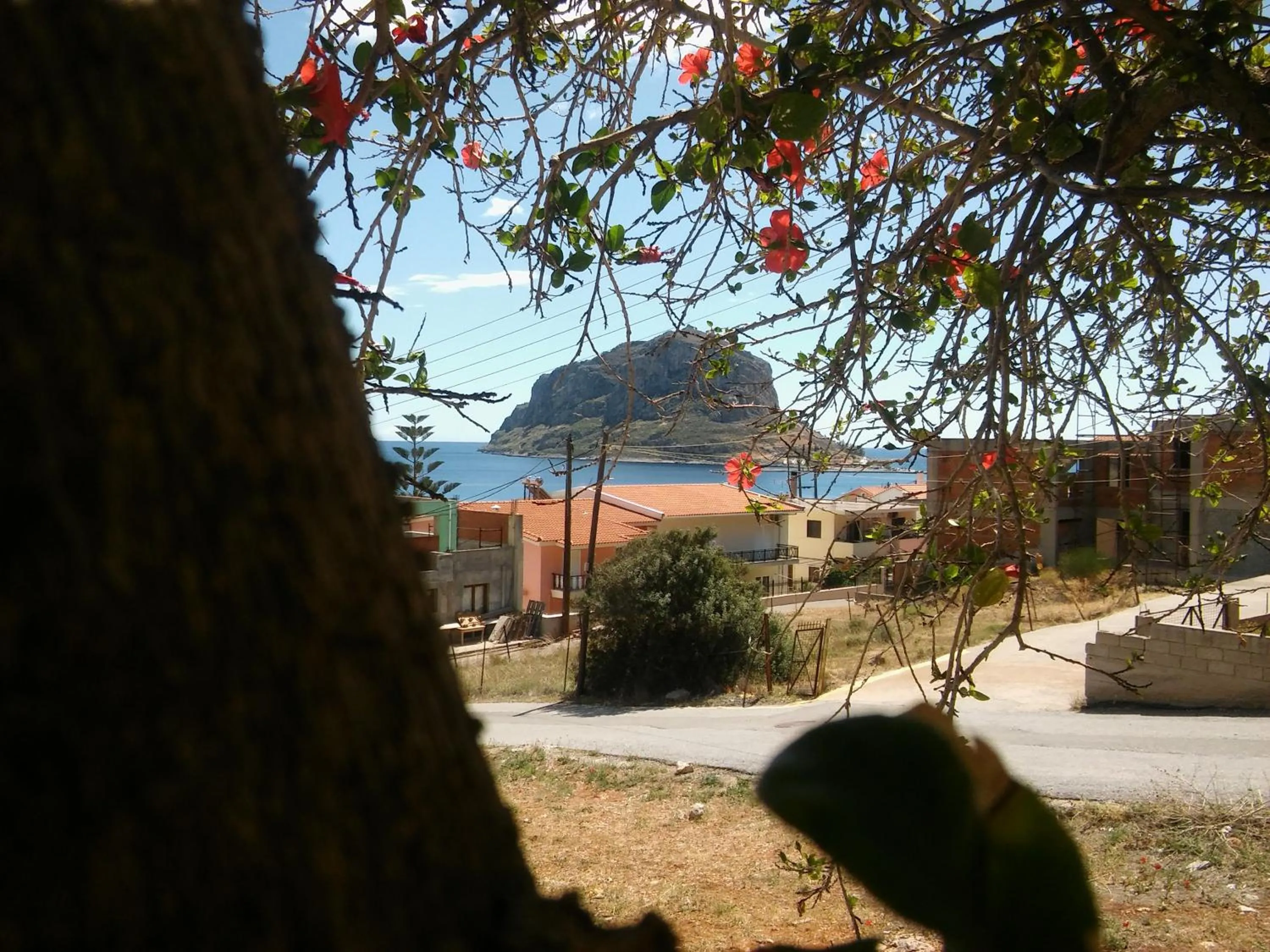 Other in Castro Hotel