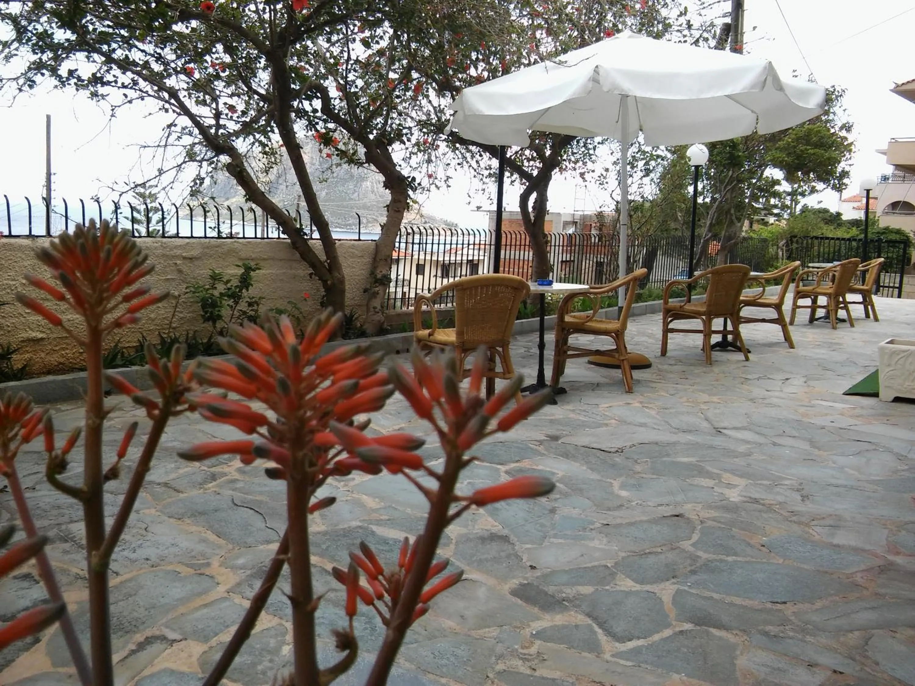 Patio in Castro Hotel