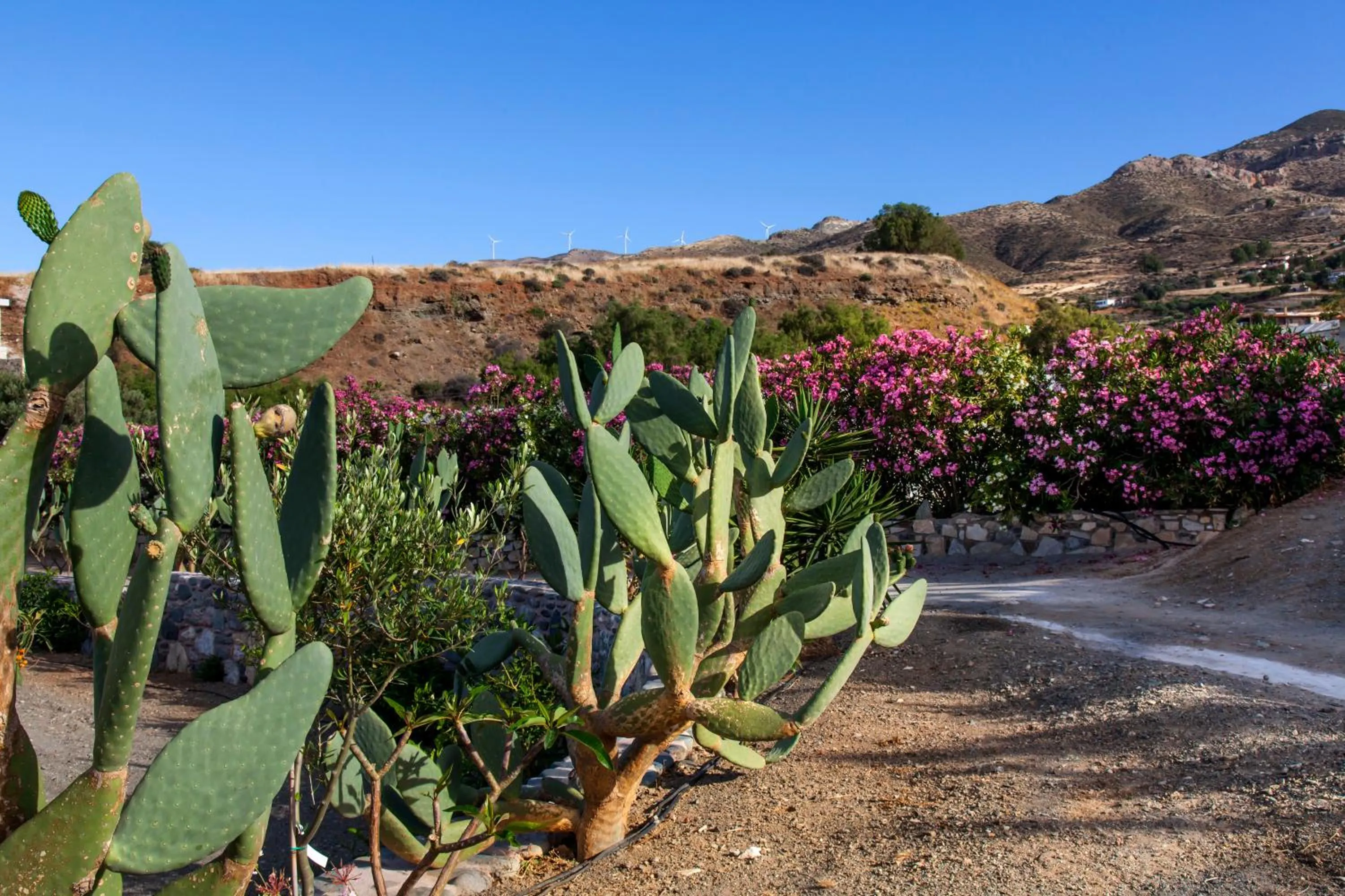 Mythos Suites Diskos