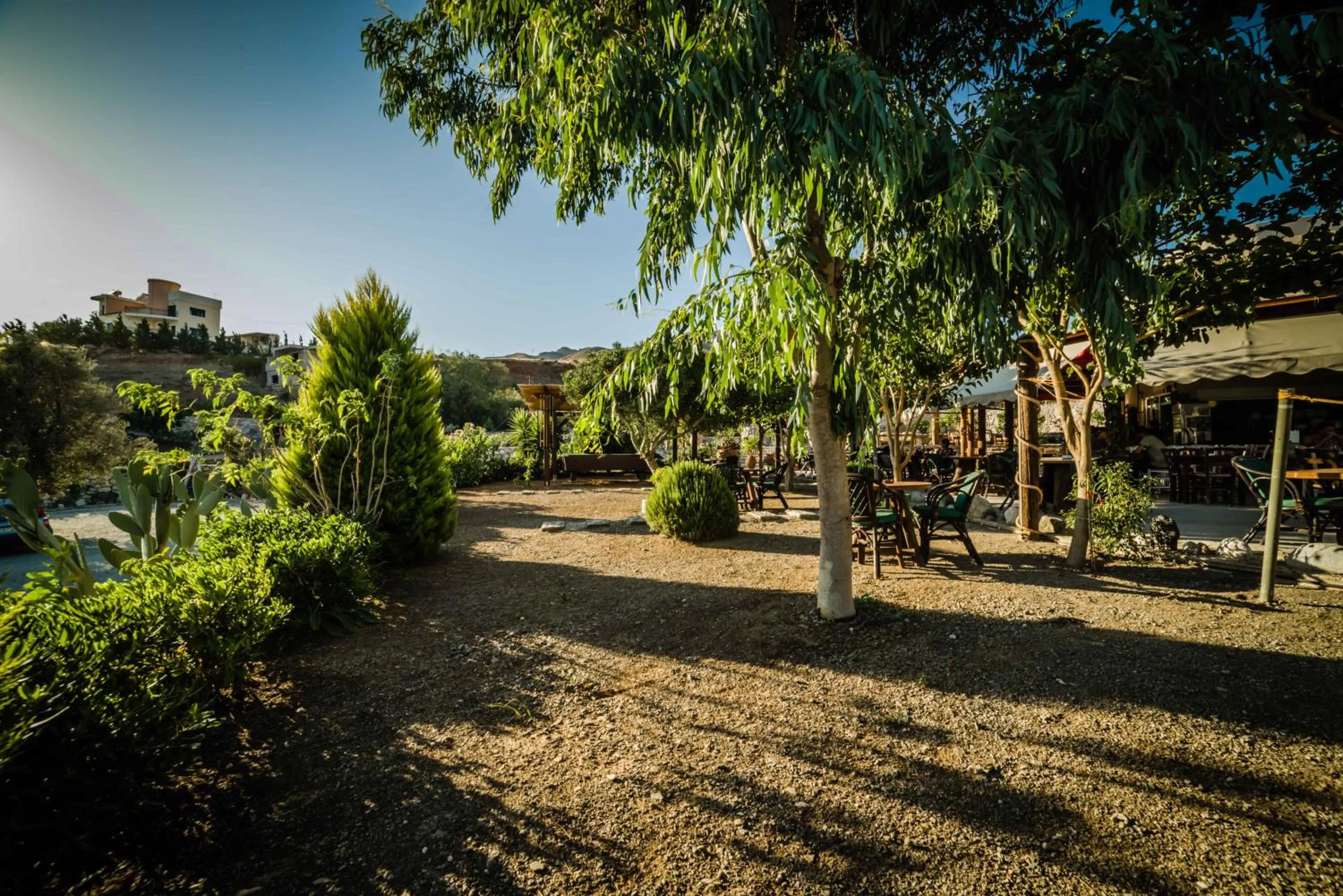 Restaurant/places to eat in Mythos Suites Diskos