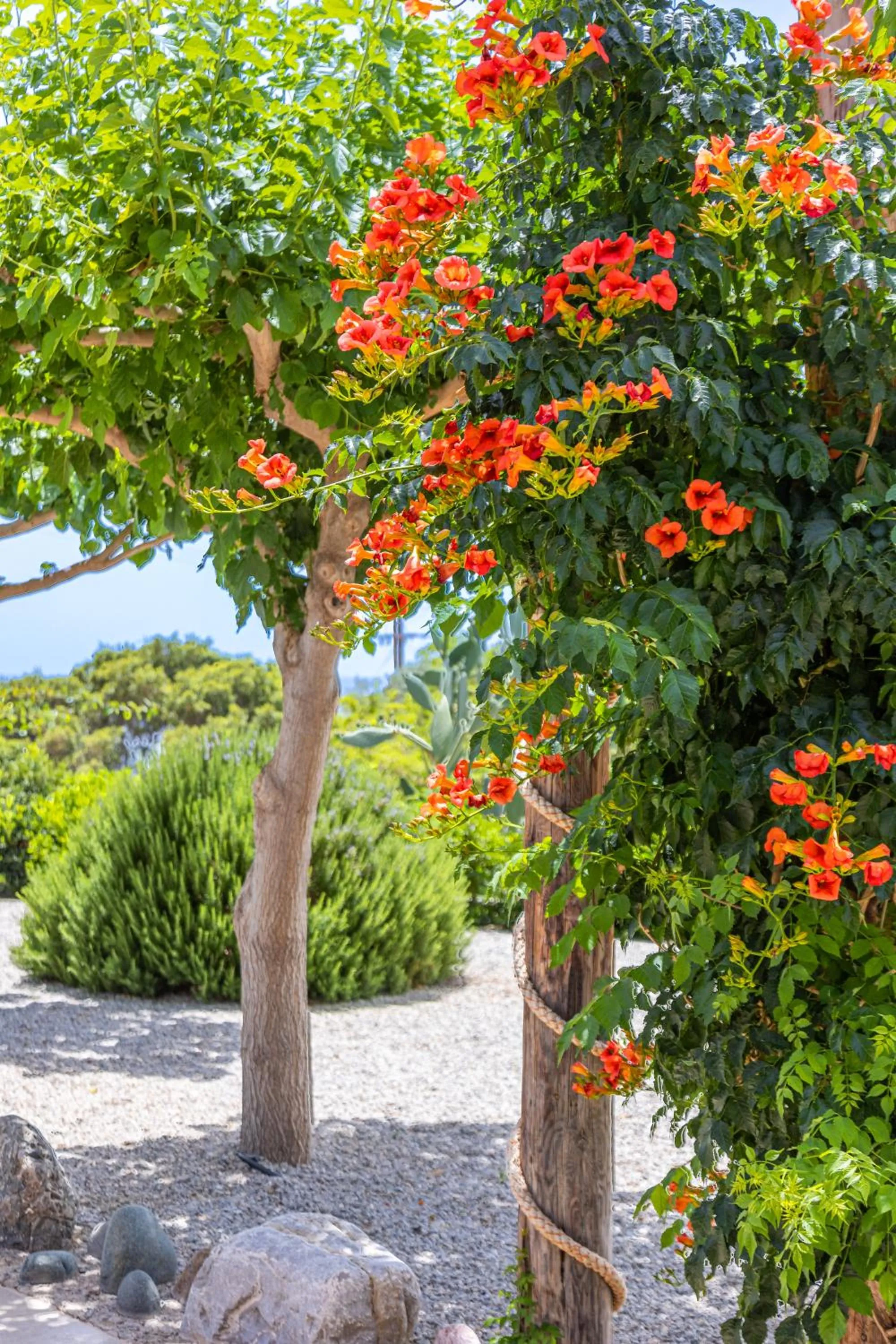 Mythos Suites Diskos