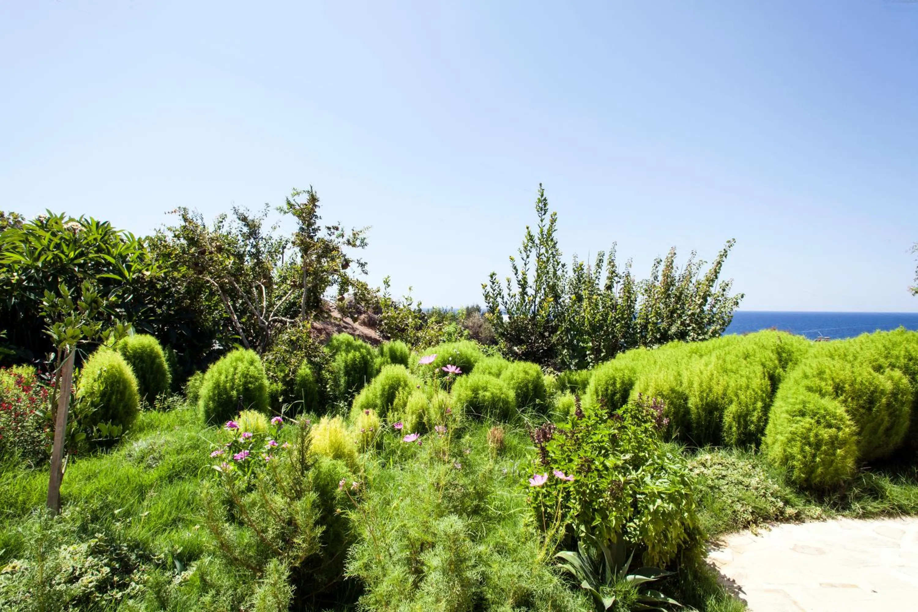 Mythos Suites Diskos