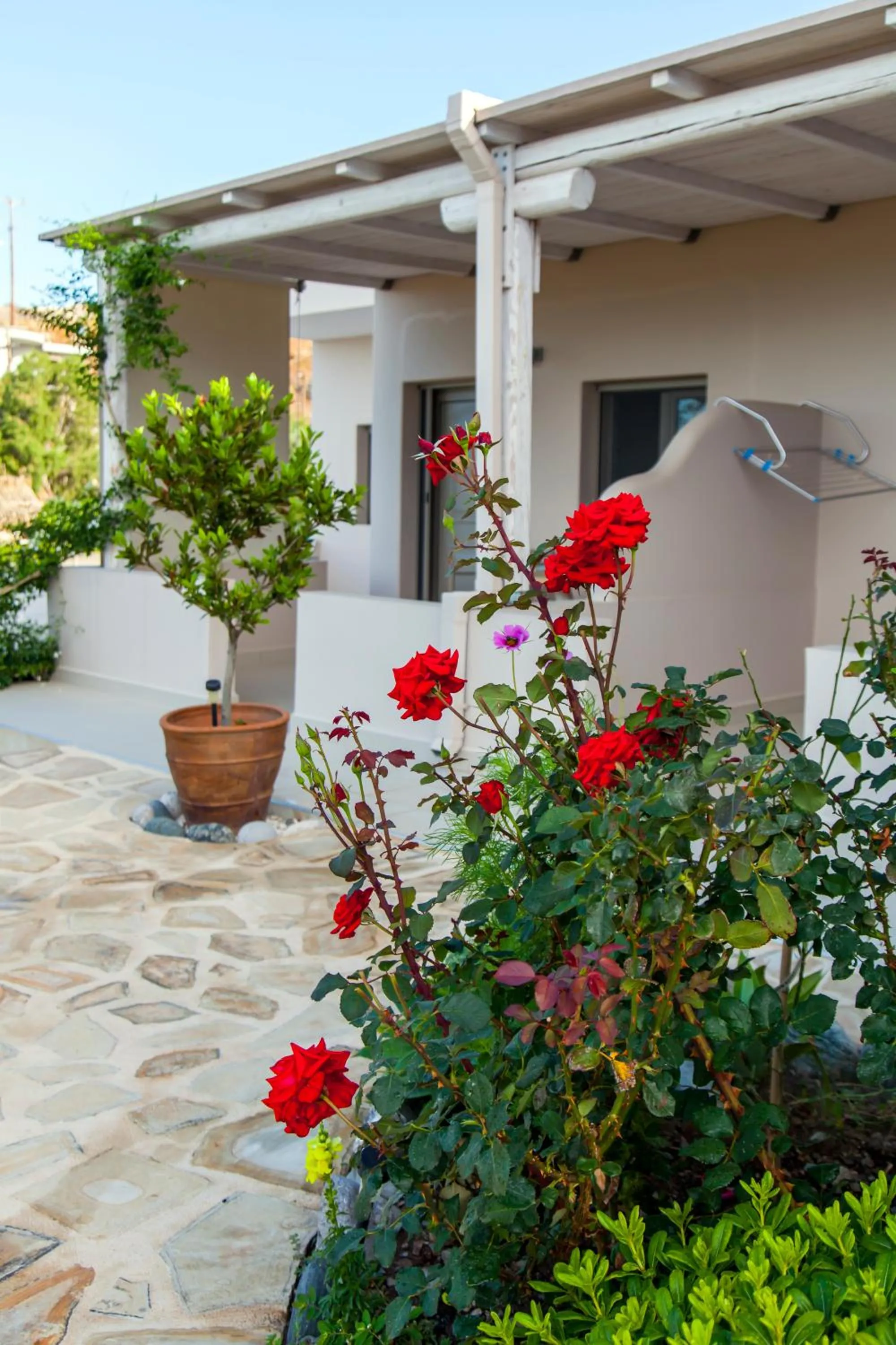 Mythos Suites Diskos