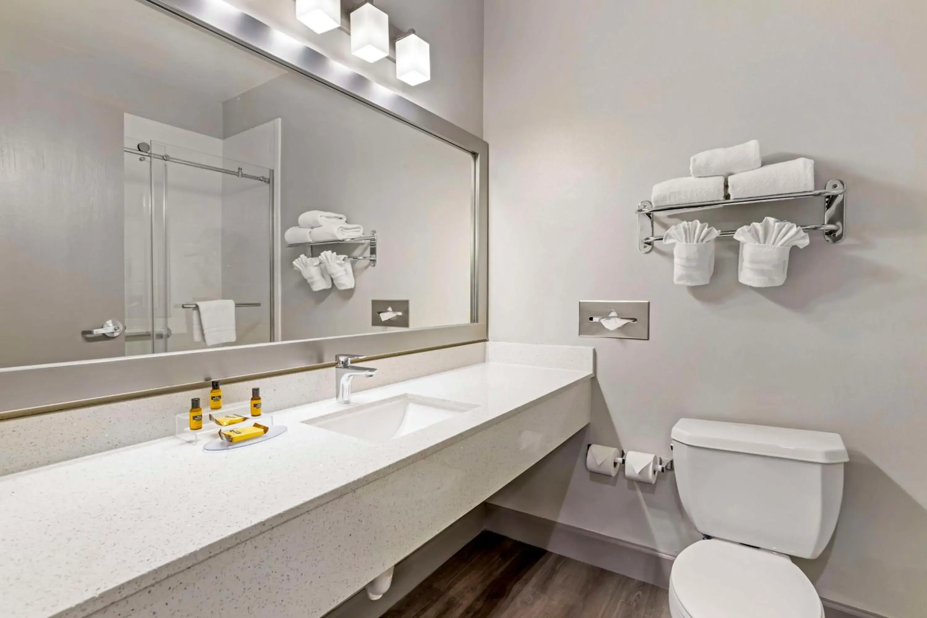 Bathroom in Best Western PLUS Hobby Airport Inn and Suites Bathroom in Best Western PLUS Hobby Airport Inn and Suites