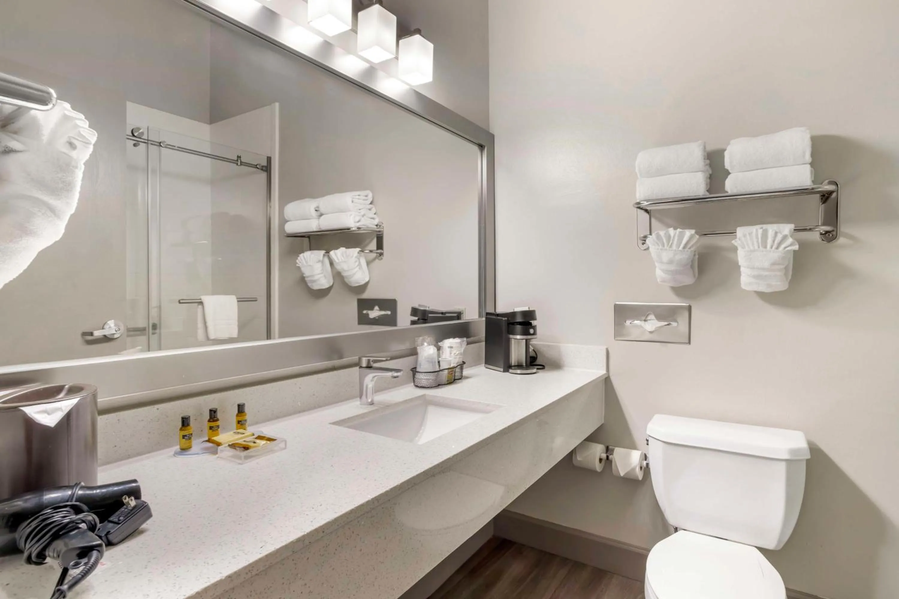 Bathroom in Best Western Plus Hobby Airport Inn & Suites