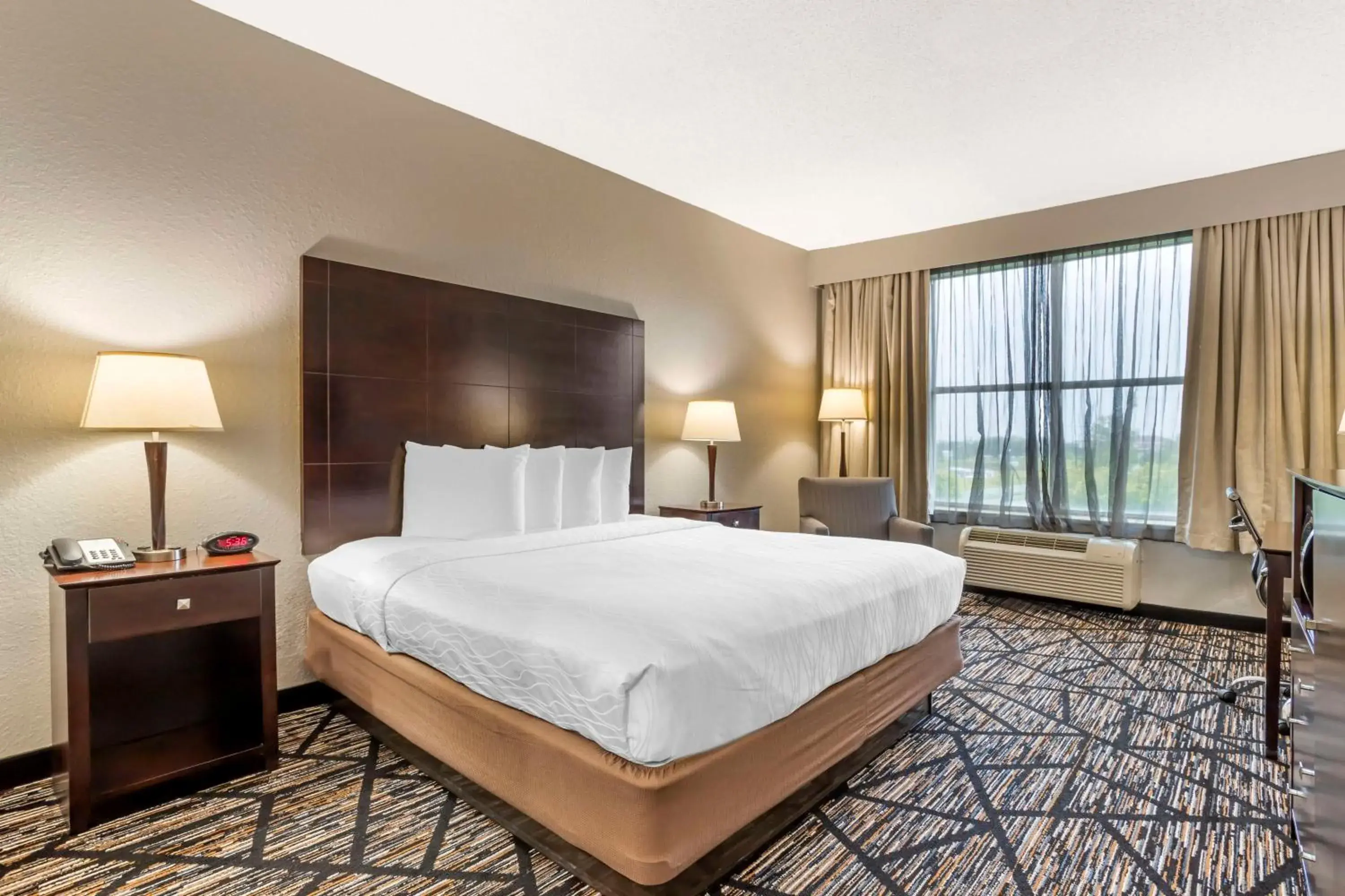 Bedroom, Bed in Best Western Plus Hobby Airport Inn & Suites Bedroom, Bed in Best Western Plus Hobby Airport Inn & Suites