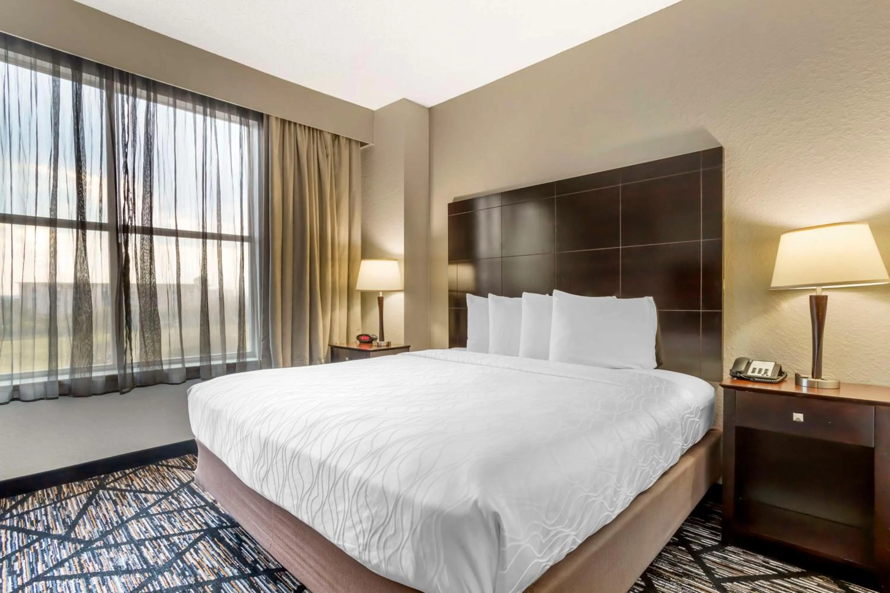 Photo of the whole room, Bed in Best Western Plus Hobby Airport Inn & Suites