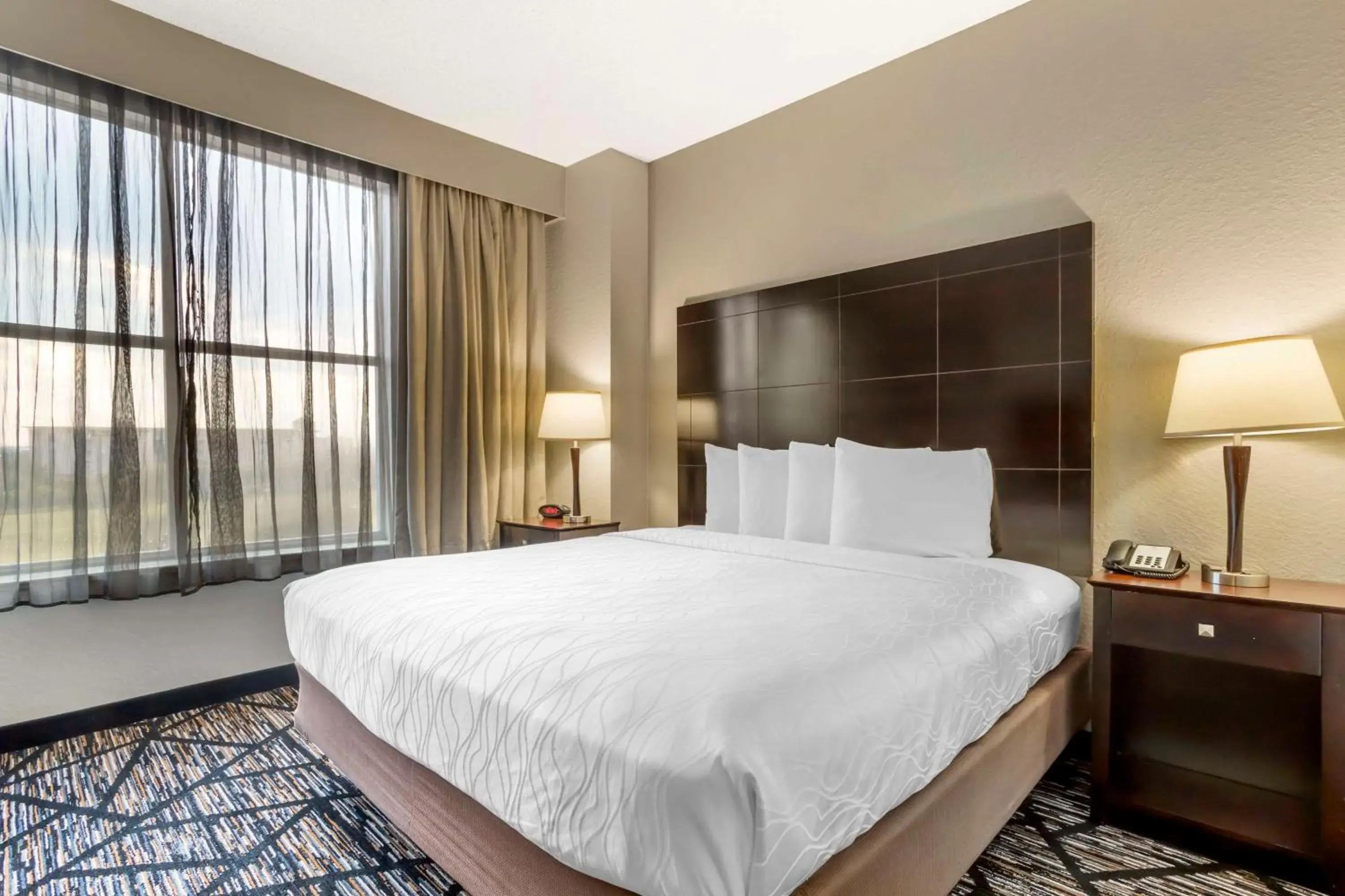 Photo of the whole room, Bed in Best Western Plus Hobby Airport Inn & Suites Photo of the whole room, Bed in Best Western Plus Hobby Airport Inn & Suites