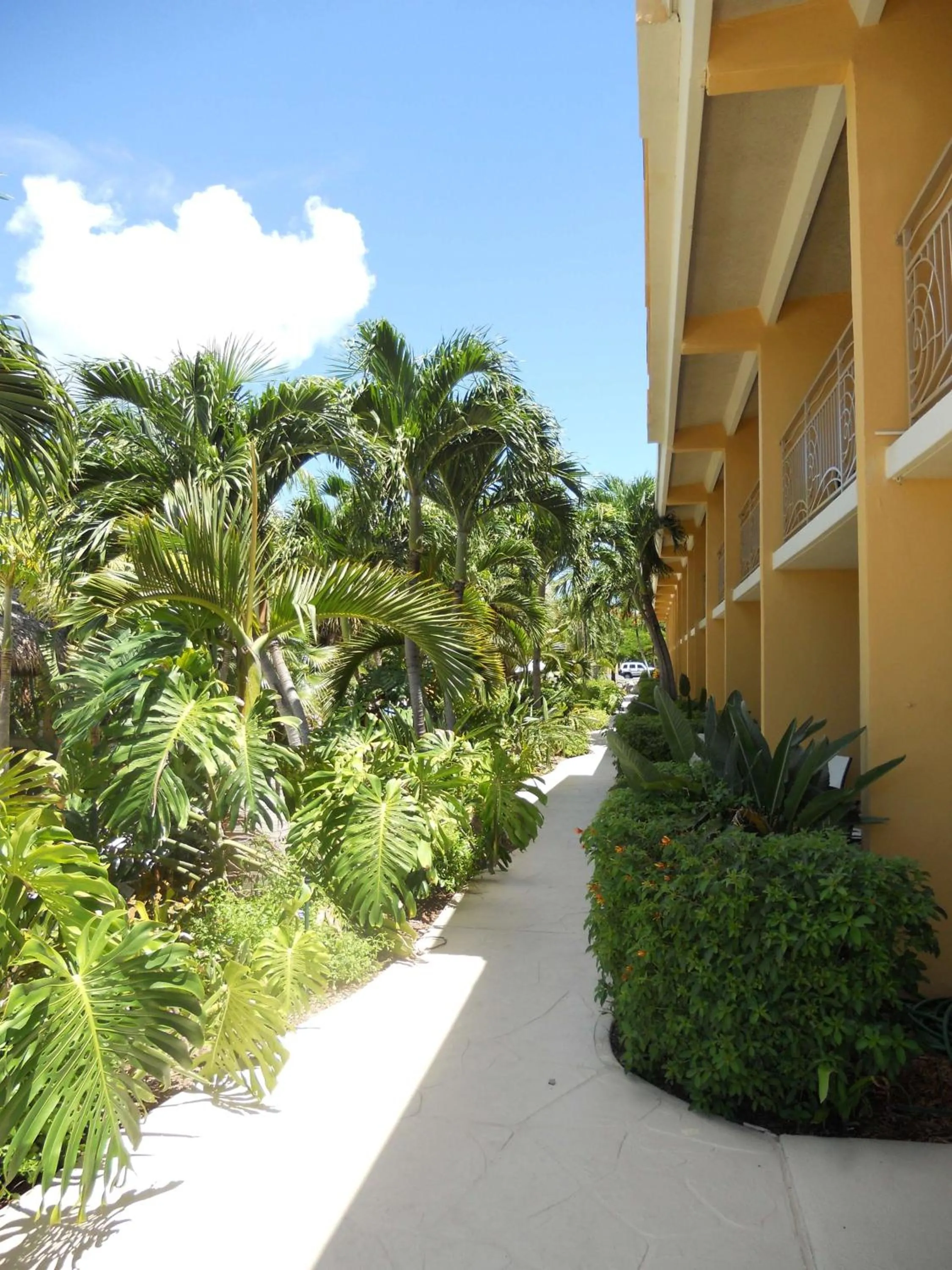Property building in Hampton Inn Key Largo