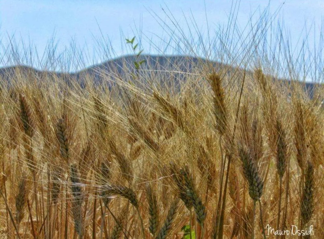 La Casa di Isabella Loreto