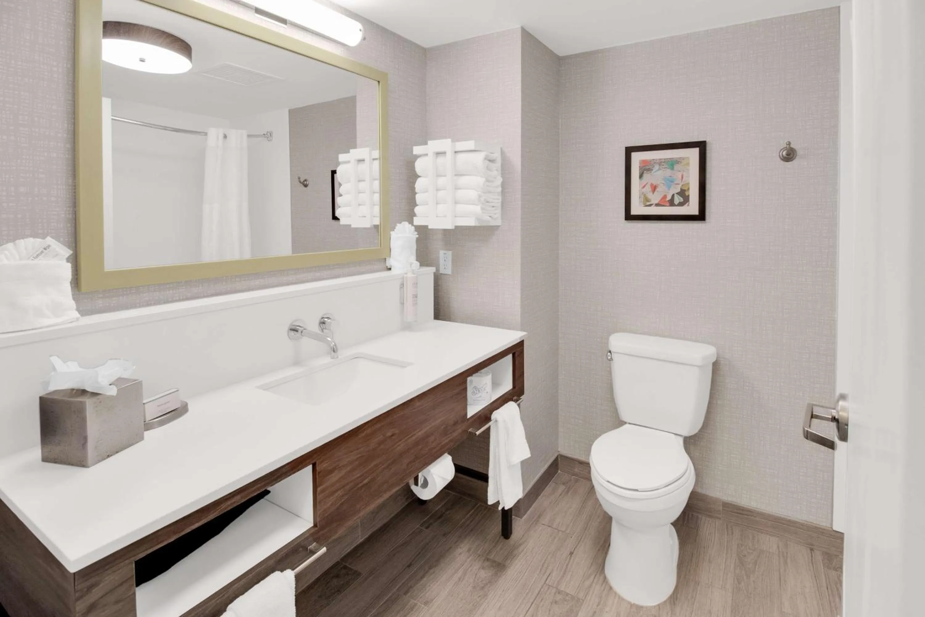 Bathroom in Hampton Inn & Suites Sarasota / Bradenton - Airport