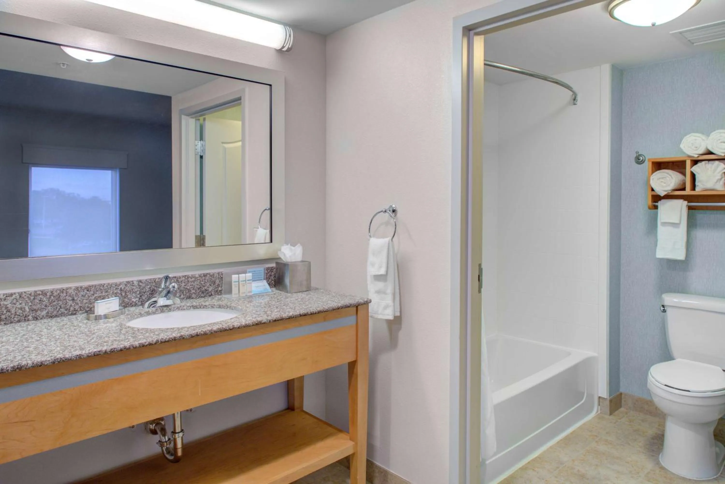 Bathroom in Hampton Inn & Suites Sarasota / Bradenton - Airport