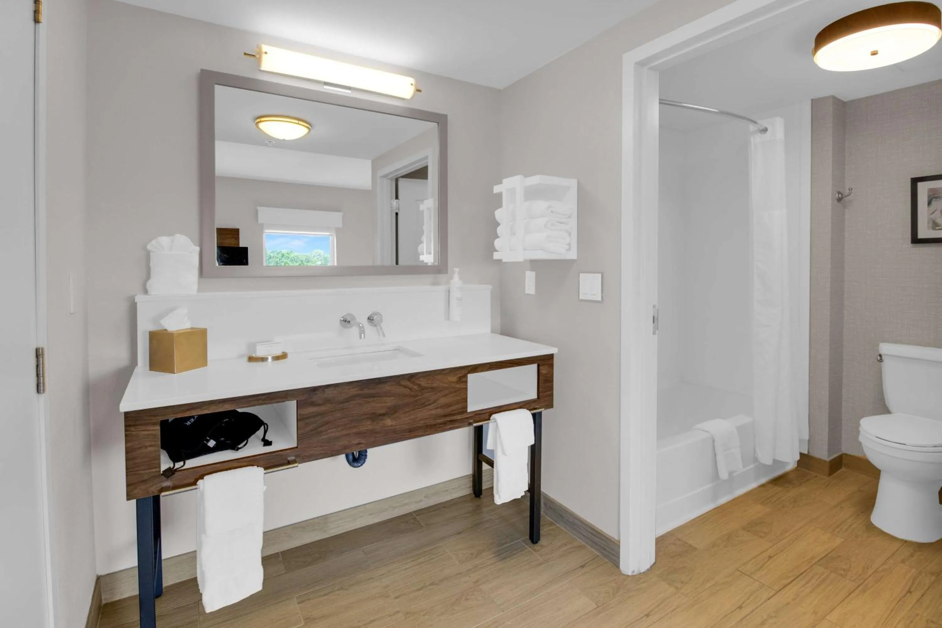 Bathroom in Hampton Inn & Suites Sarasota / Bradenton - Airport