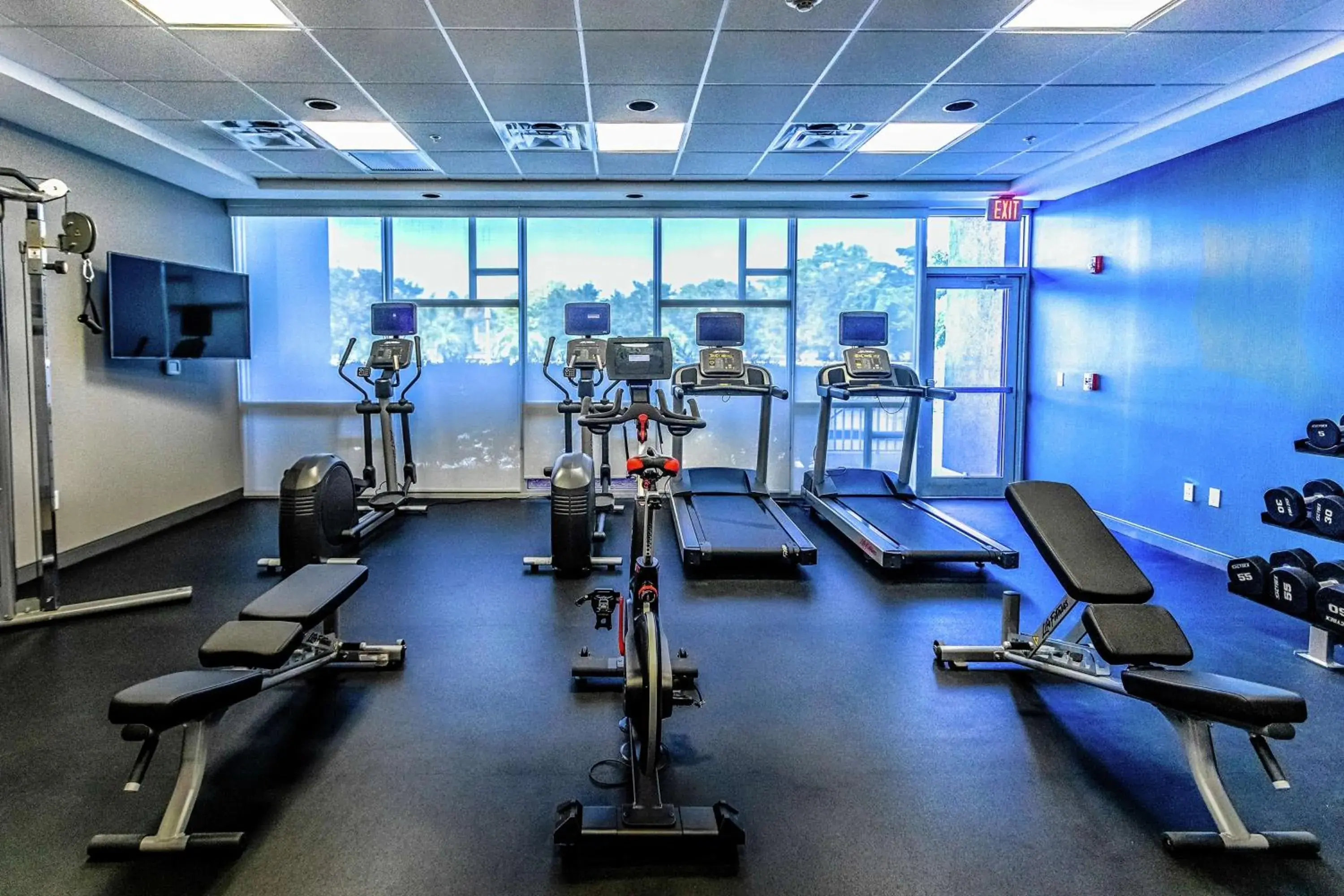 Fitness centre/facilities in Hampton Inn & Suites Sarasota / Bradenton - Airport Fitness centre/facilities in Hampton Inn & Suites Sarasota / Bradenton - Airport
