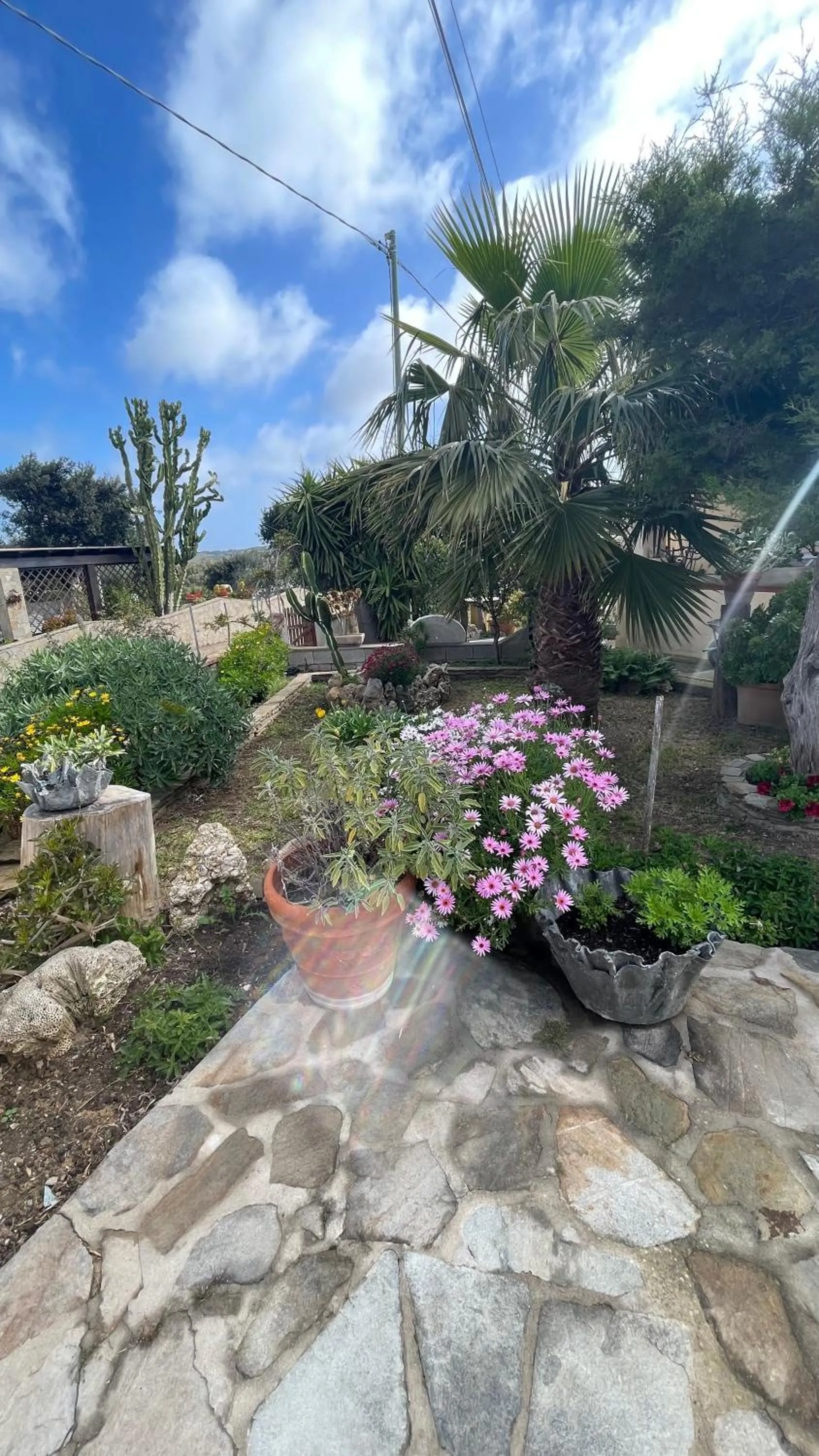 Garden in La Mansarda